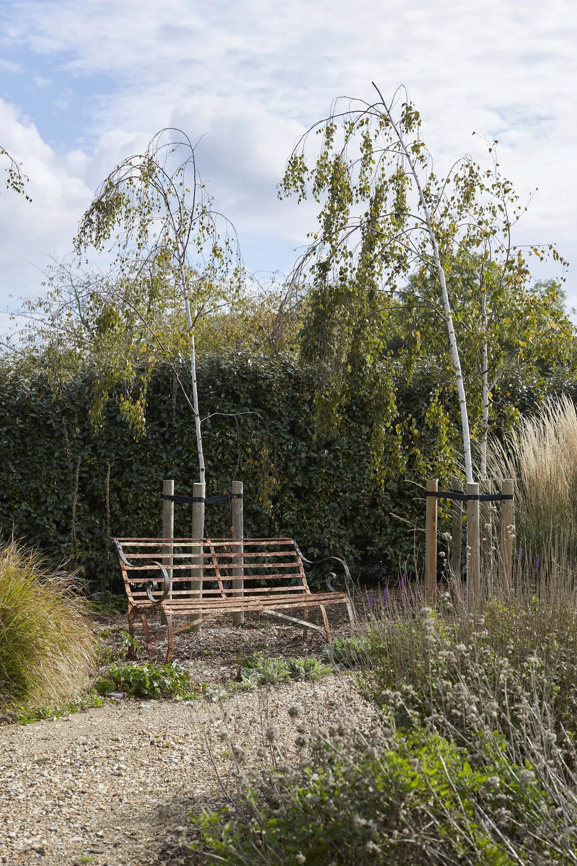 Rustic metal garden bench beside a gravel path, surrounded by ornamental grasses, young trees and naturalistic planting.