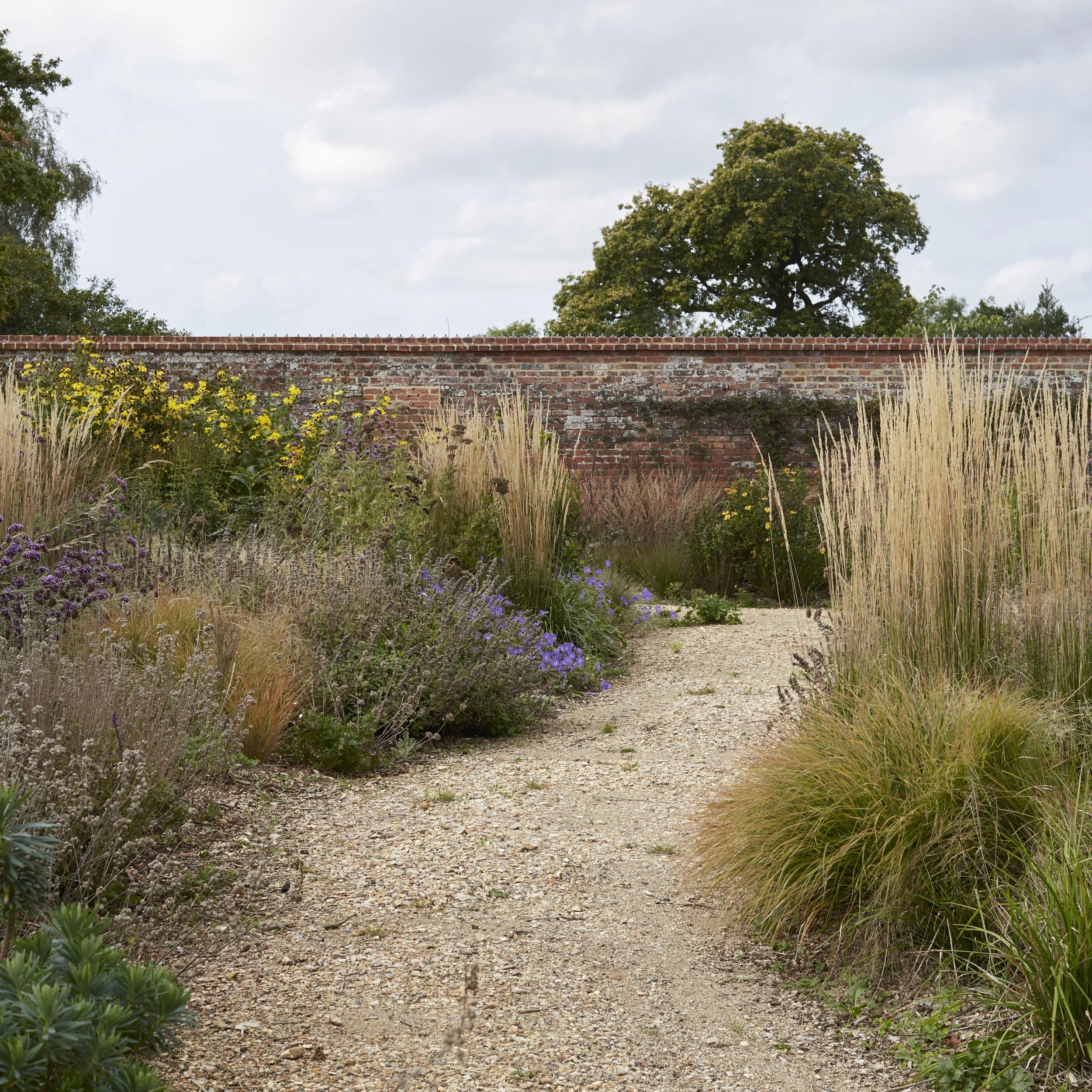 Pale gravel garden path winding between ornamental grasses and flowering perennials alongside a traditional red-brick garden wall.