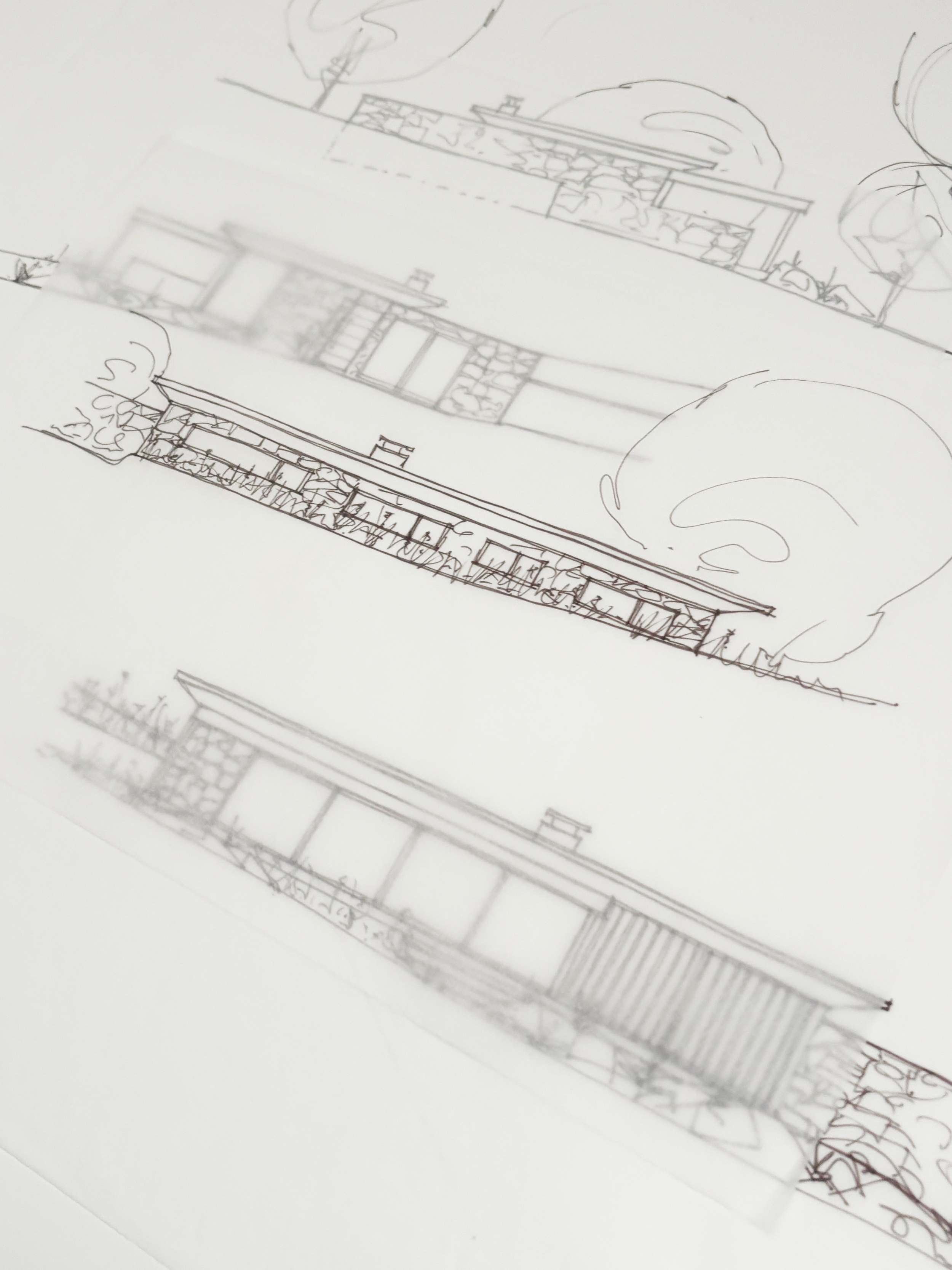 Hand-drawn architectural elevation sketches exploring the low roofline, stone walls, extensive glazing and timber screening of the proposed pavilion at Rolling Hills.