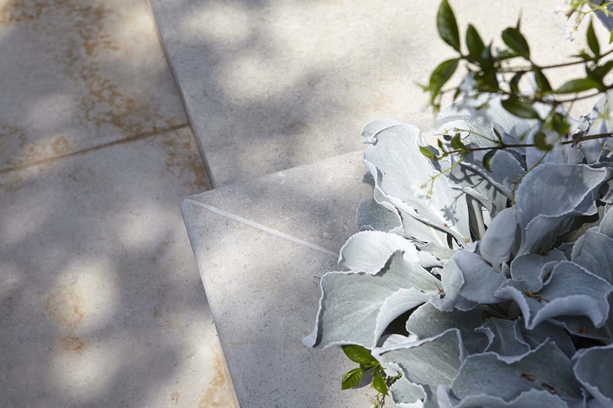 Close-up of pale stone garden paving alongside silver-leaved planting, showing the material palette used in the landscaped courtyard.
