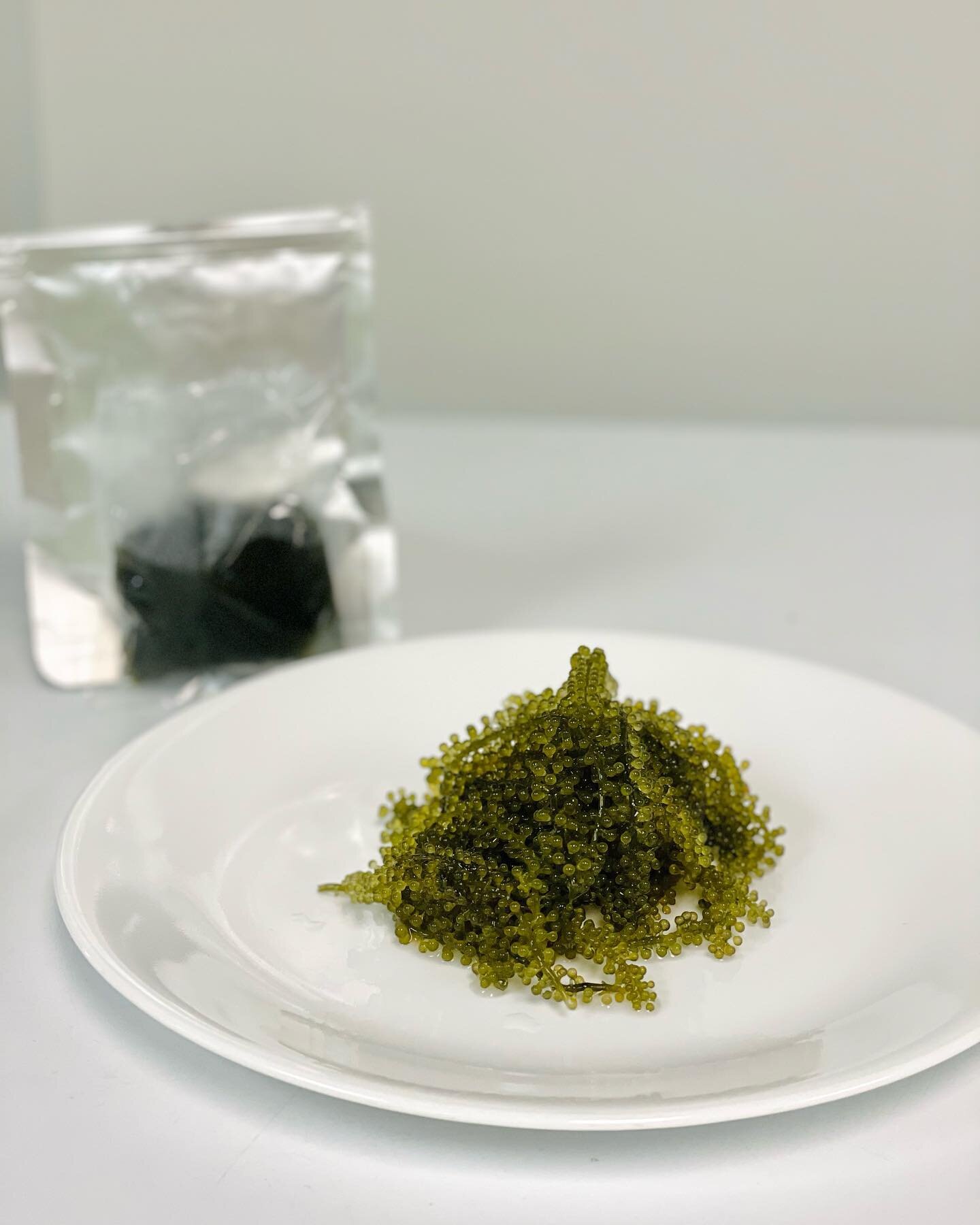 🌊Umibudo (Sea Grapes): This delicious and fun food only can survive in this sea area. 💫 It has powerful health benefits and anti-aging abilities.

They grow in the waters of western pacific all the way from Vietnam to Okinawa in the north.

☎️ 713-