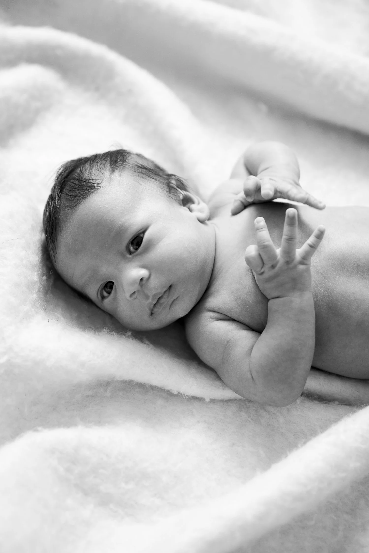 newborn photography toronto
