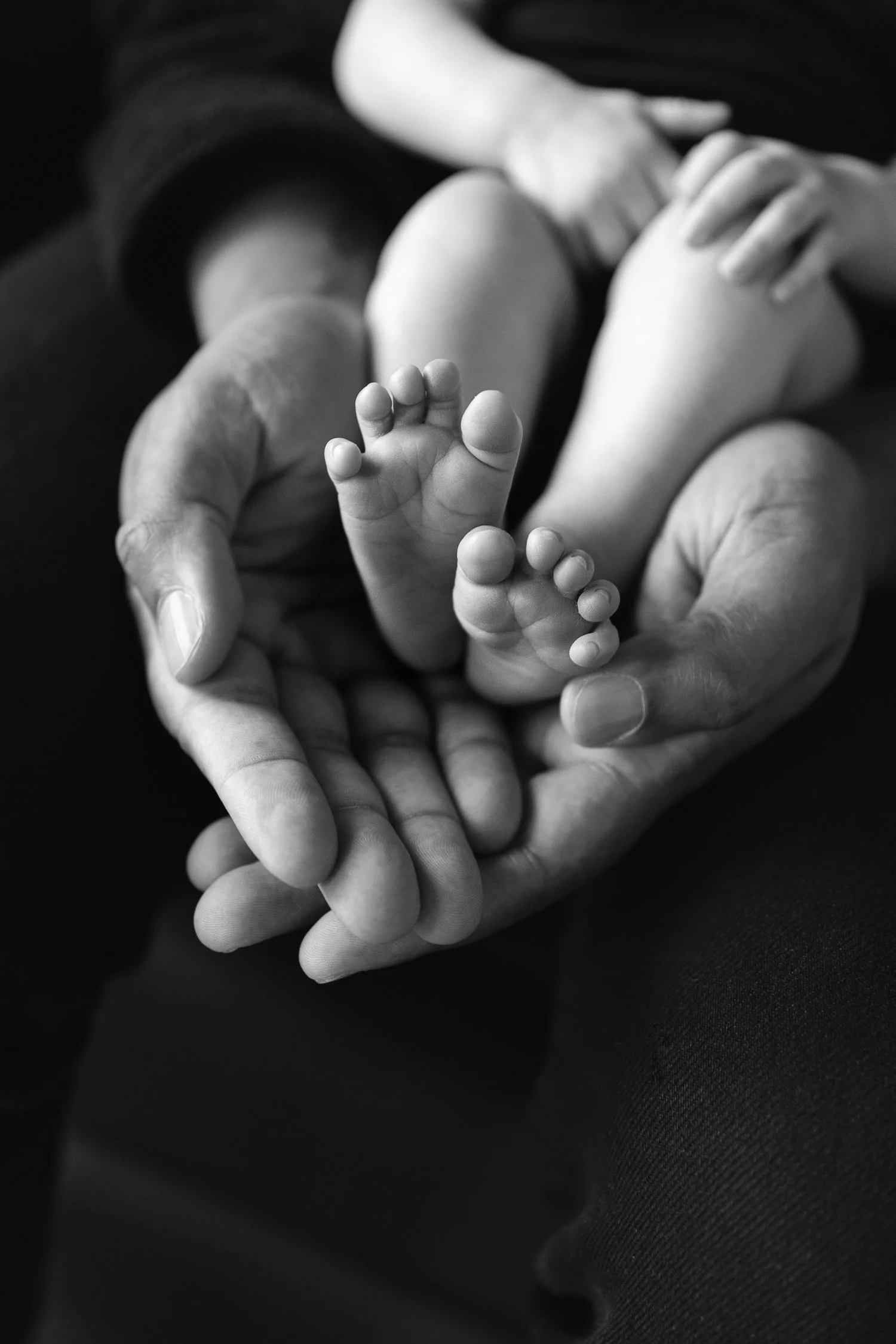 newborn photography toronto montreal