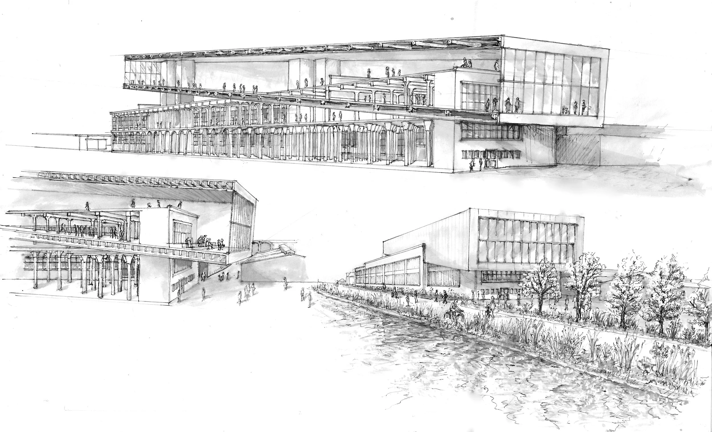2025-05-26 MUZA SW gray fin3_edit.jpg