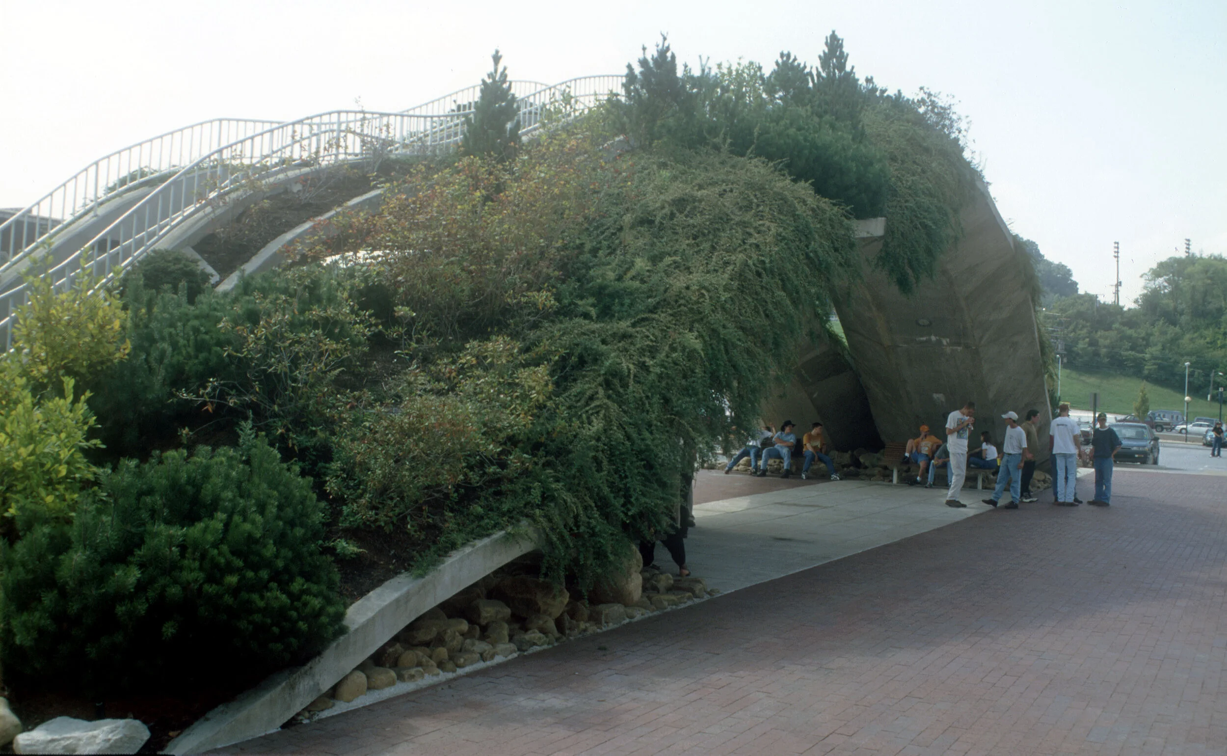 Ross's Landing — SITE