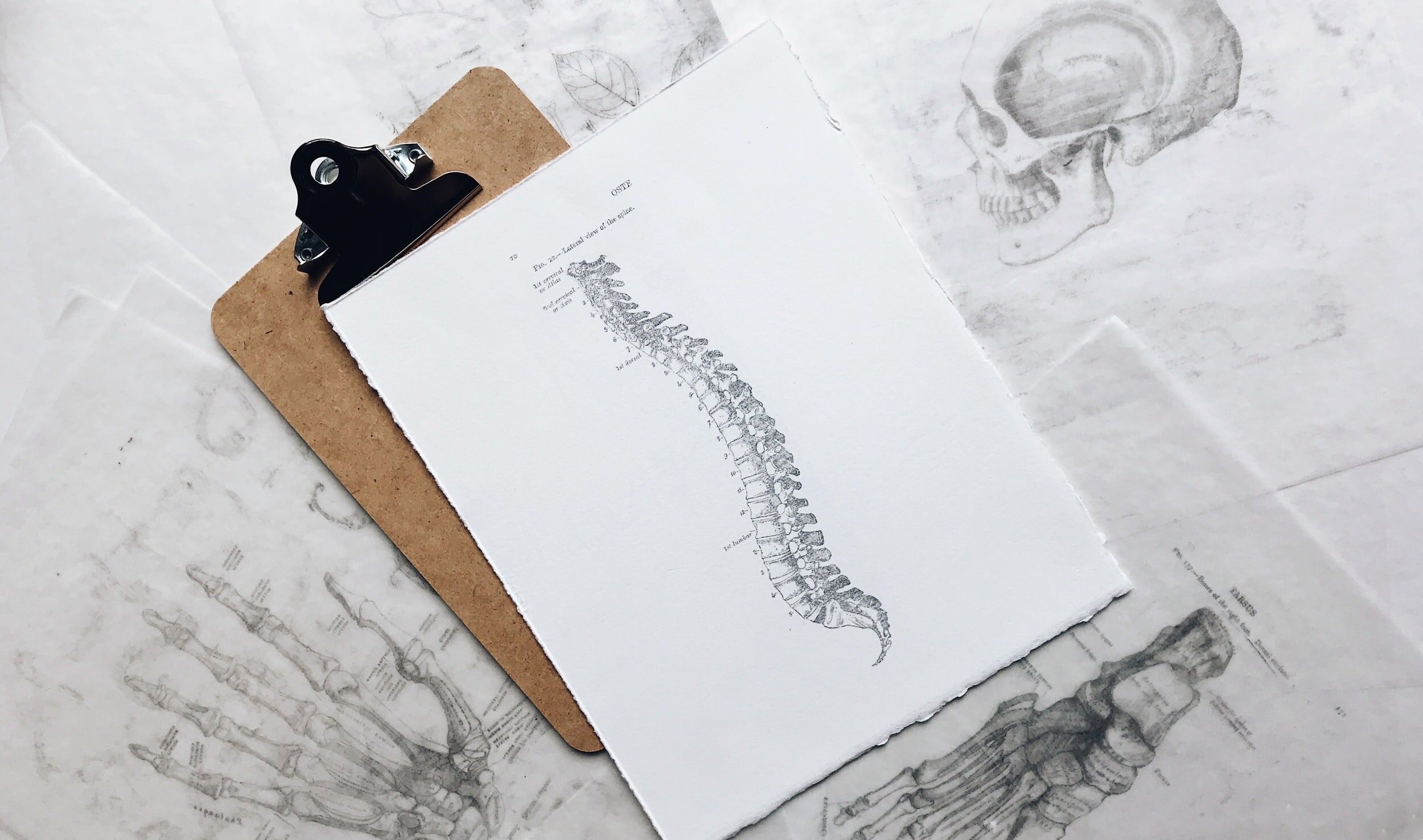 Clipboard with Spine Diagram