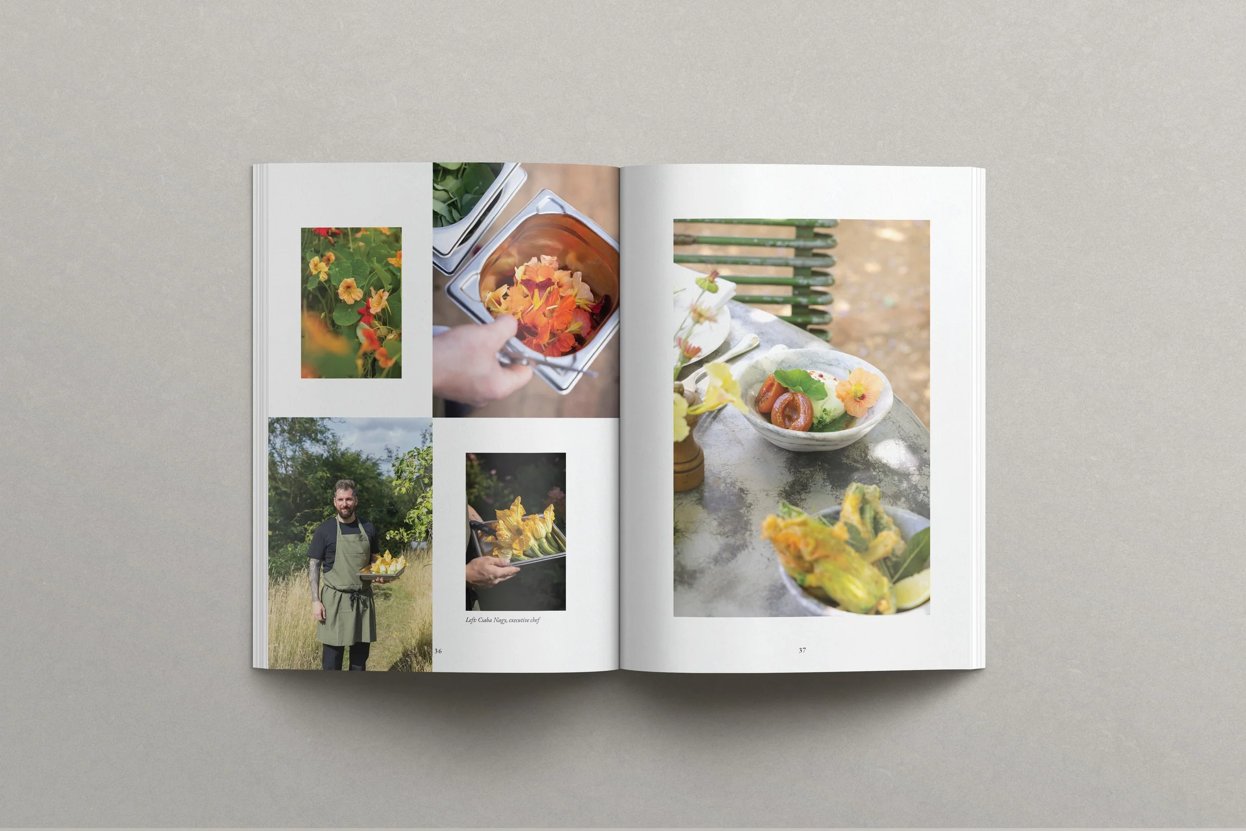 FIELDFARE_Issue5_Petersham2.jpg