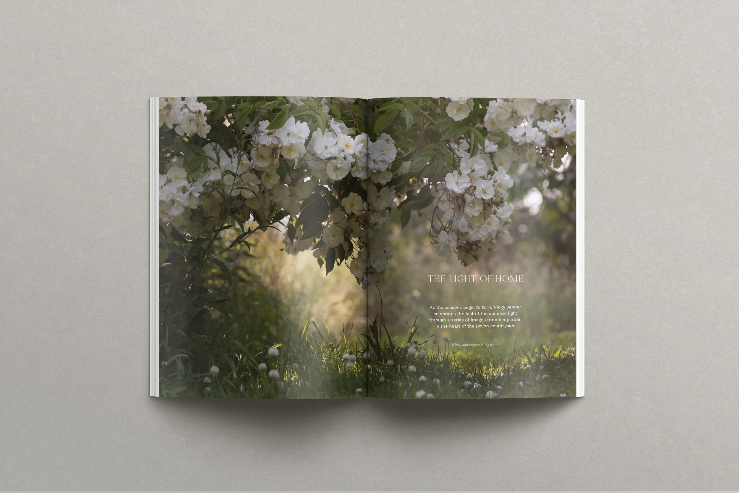 FIELDFARE_Issue5_LightofHome.jpg