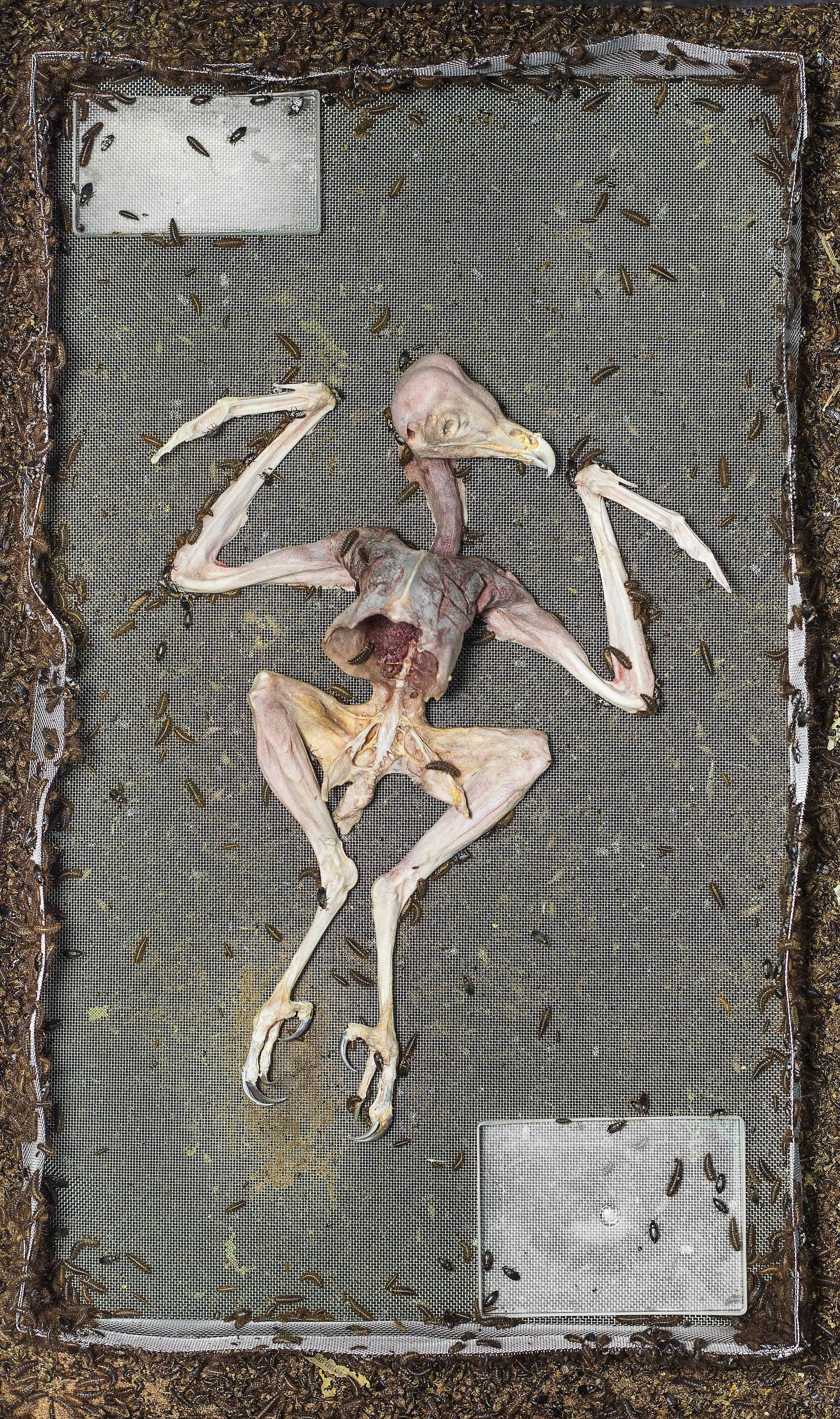2_FEAST OR FAMINE_still_1.jpg