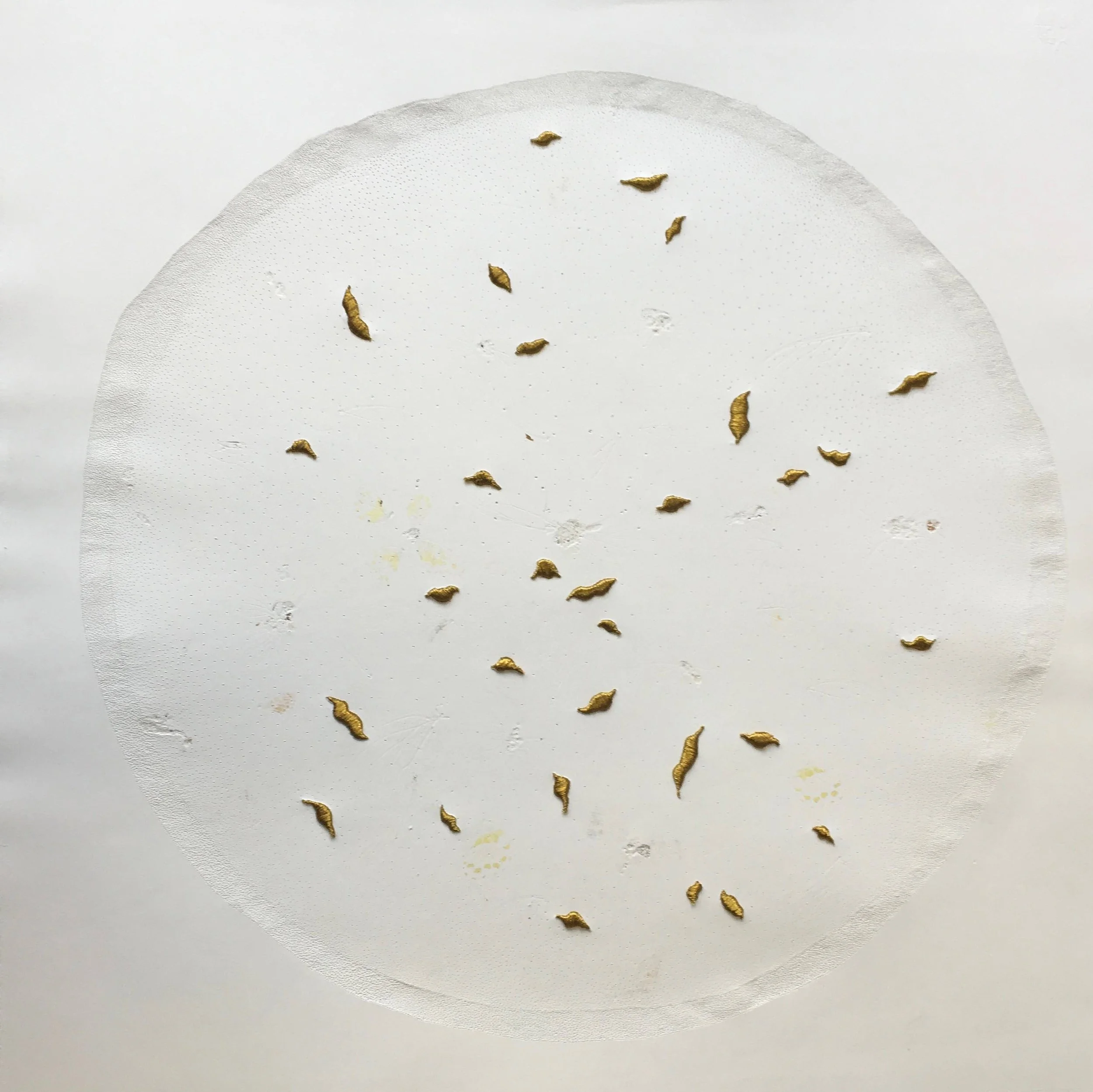 8_suture.6.jpg