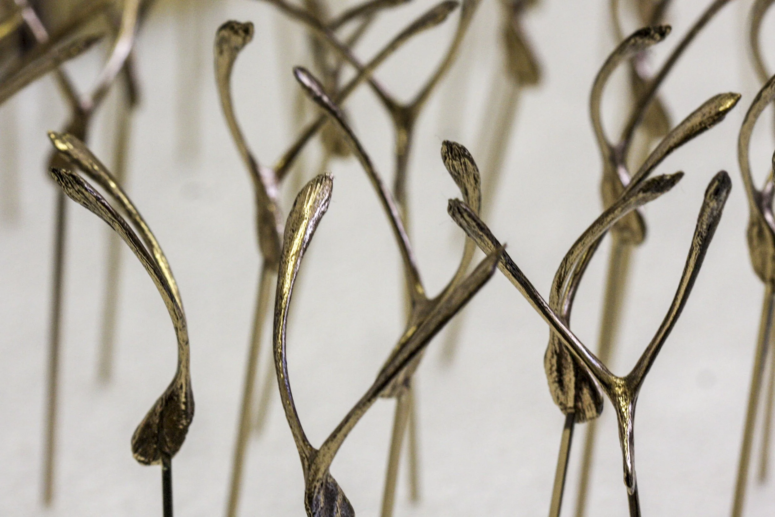5_wishbones.jpg