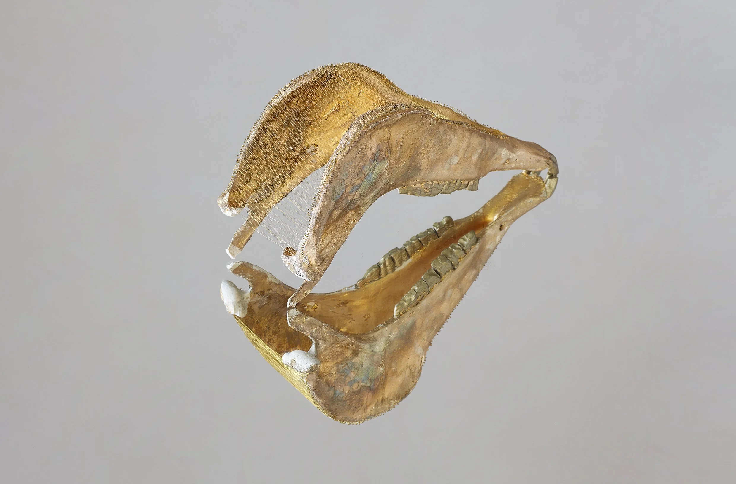 2_Mandible Mirror_Nina Lieska.jpg