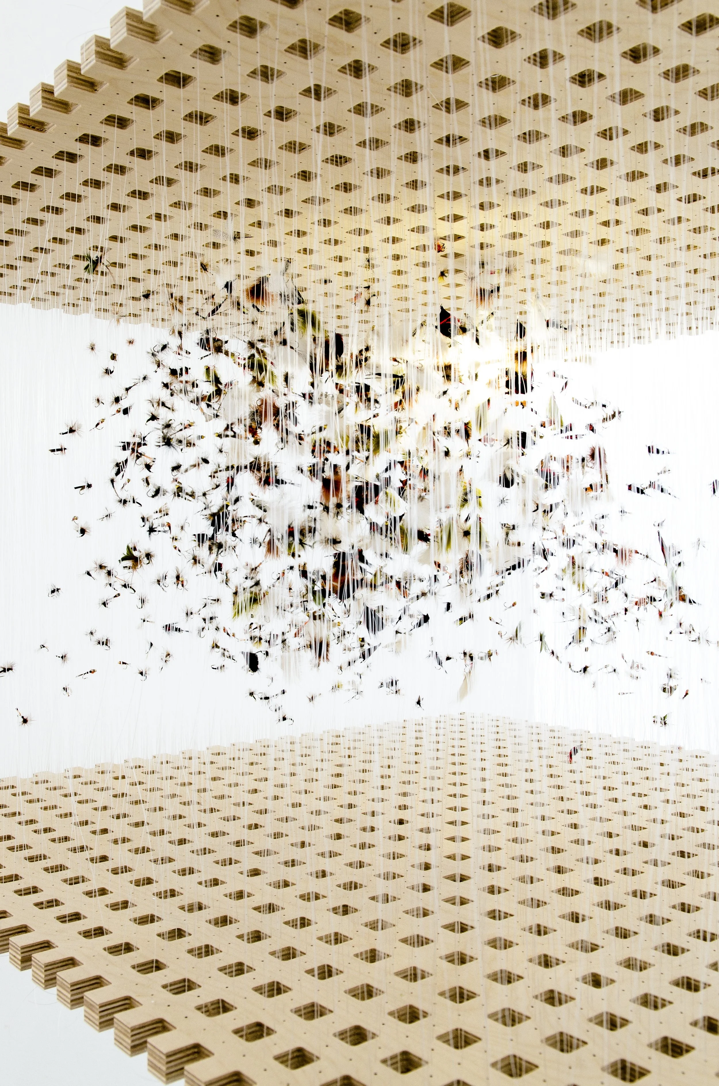 6_Swarm__Phototaxis_detail_SG2012.jpg