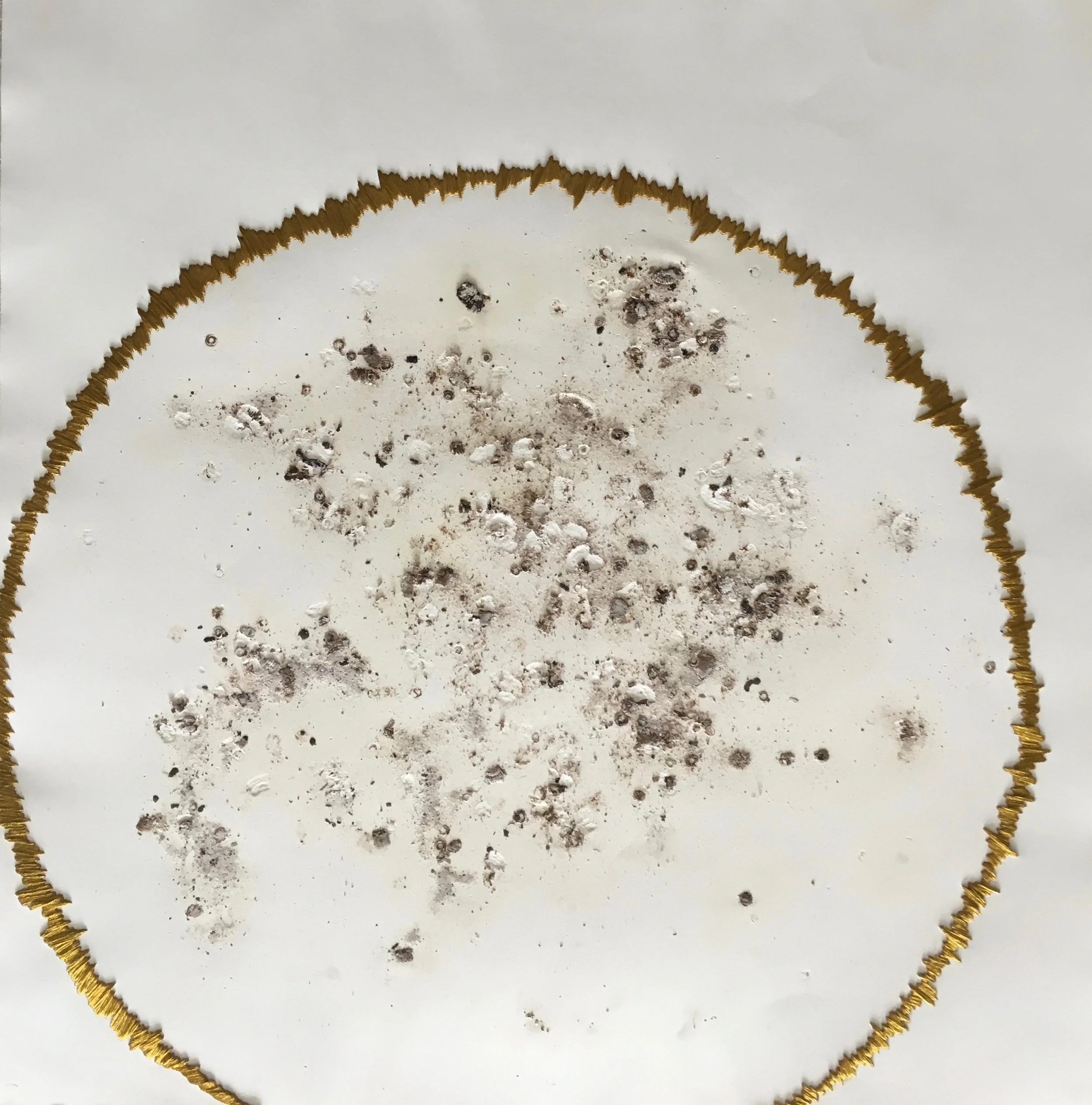 8_suture.2.jpg