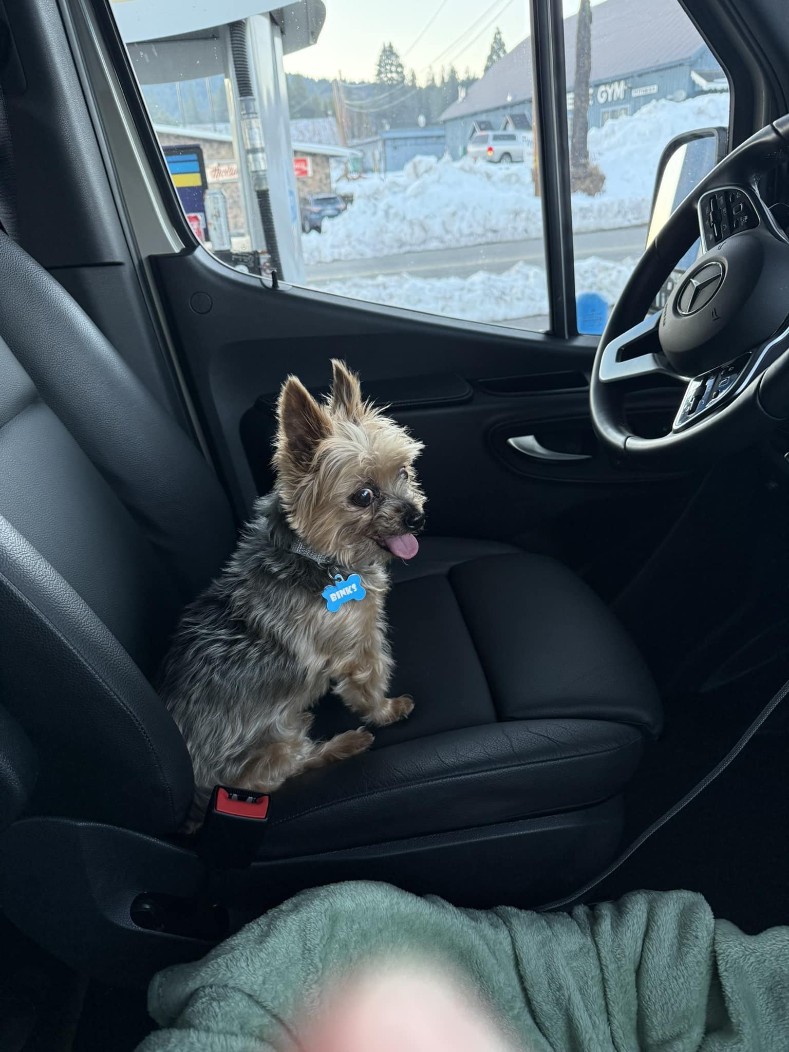 When Daddy&rsquo;s stopped for fuel. Gotta keep his seat warm for him. 🤣🤣