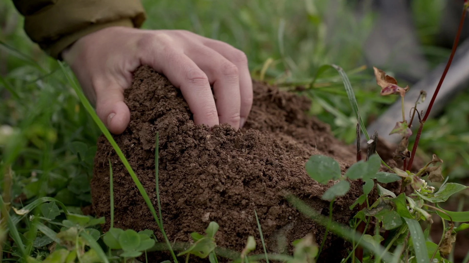 Six Inches of Soil