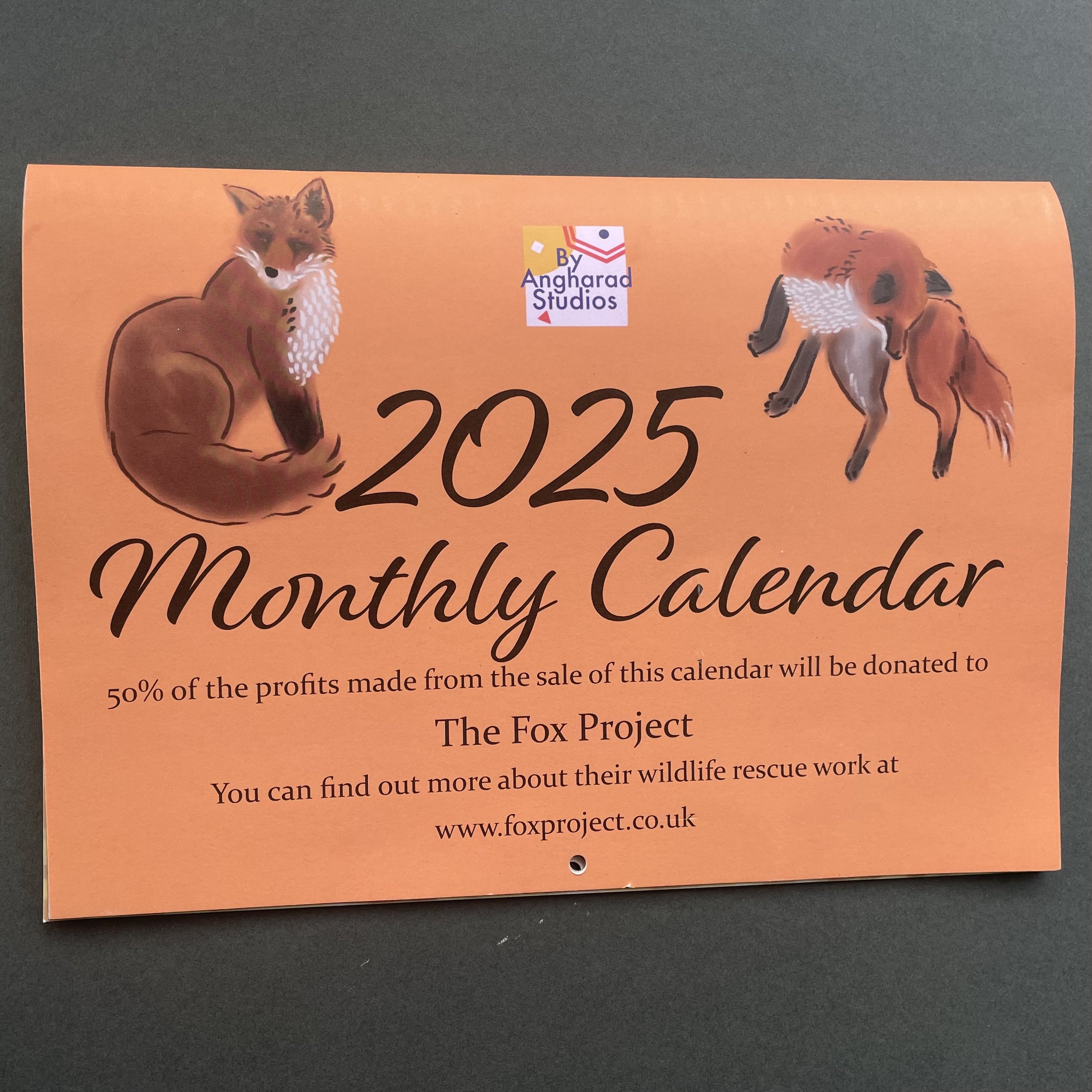2025 fox calendar - charity donation