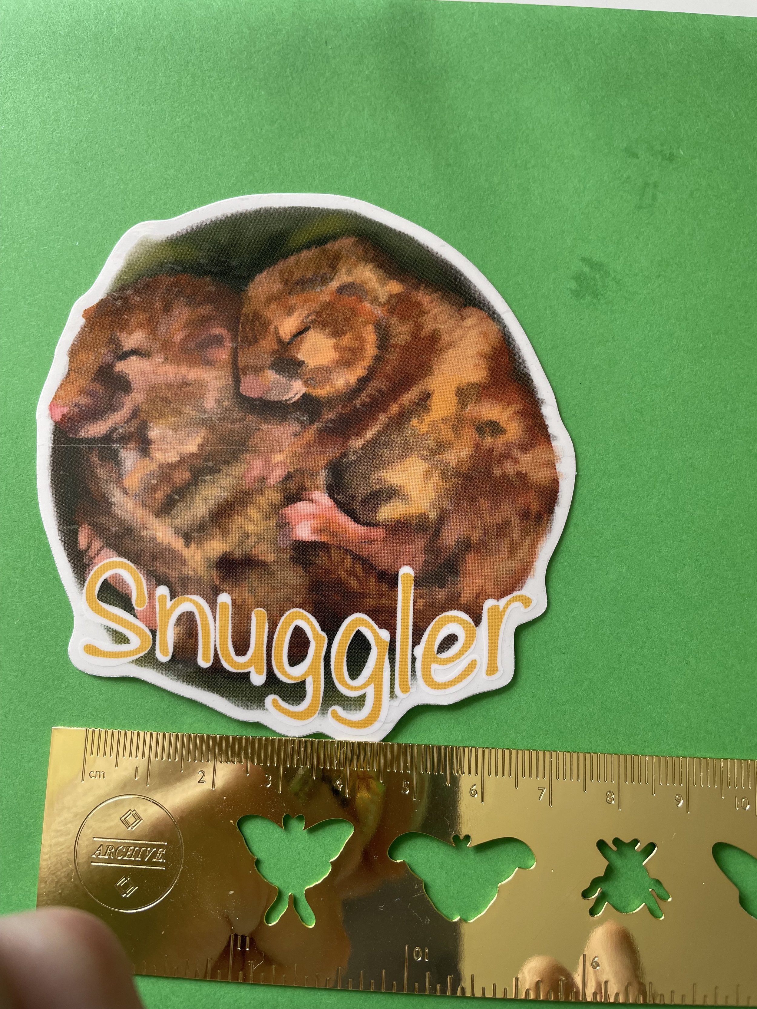 IMG_0326.jpeg