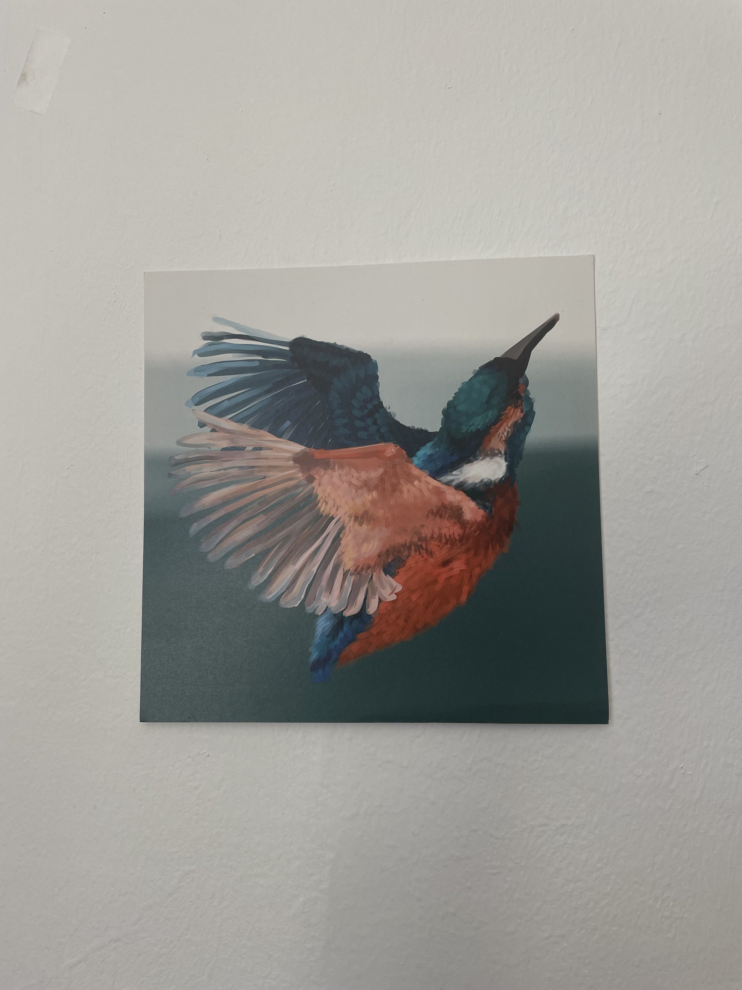 IMG_5264.jpeg