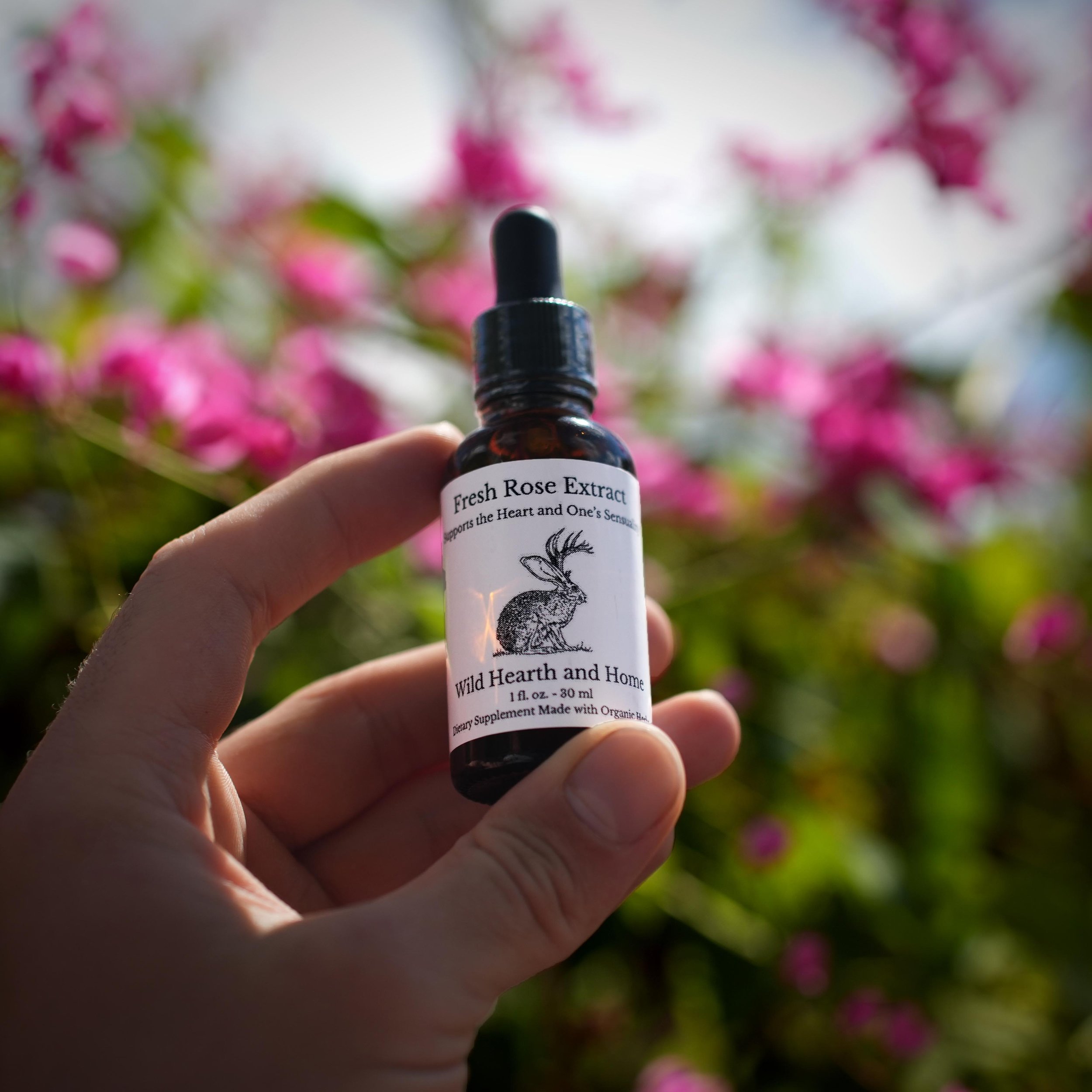Fresh Rose Extract.jpg