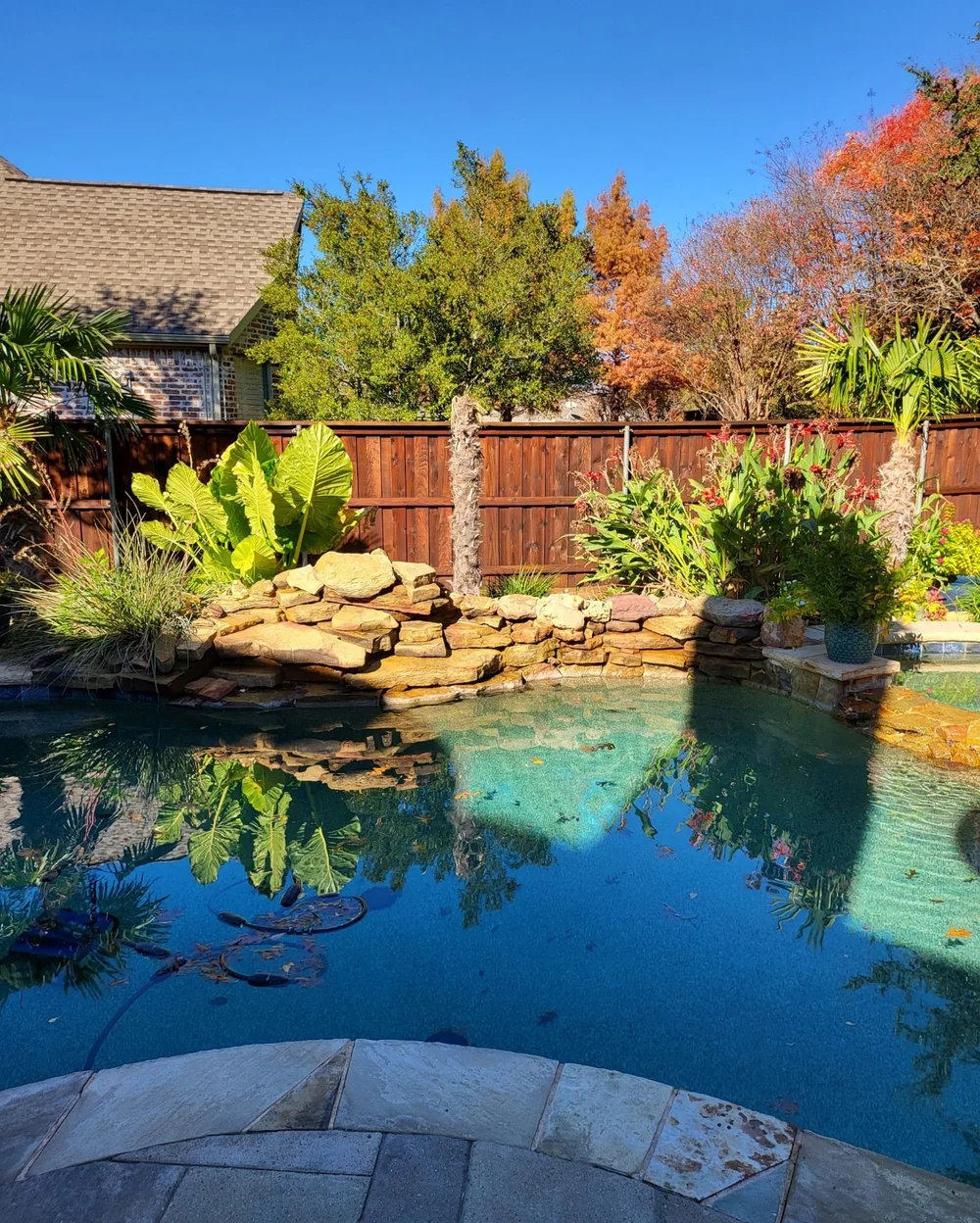 How to Preserve Wood Fencing — Fence Fanatics