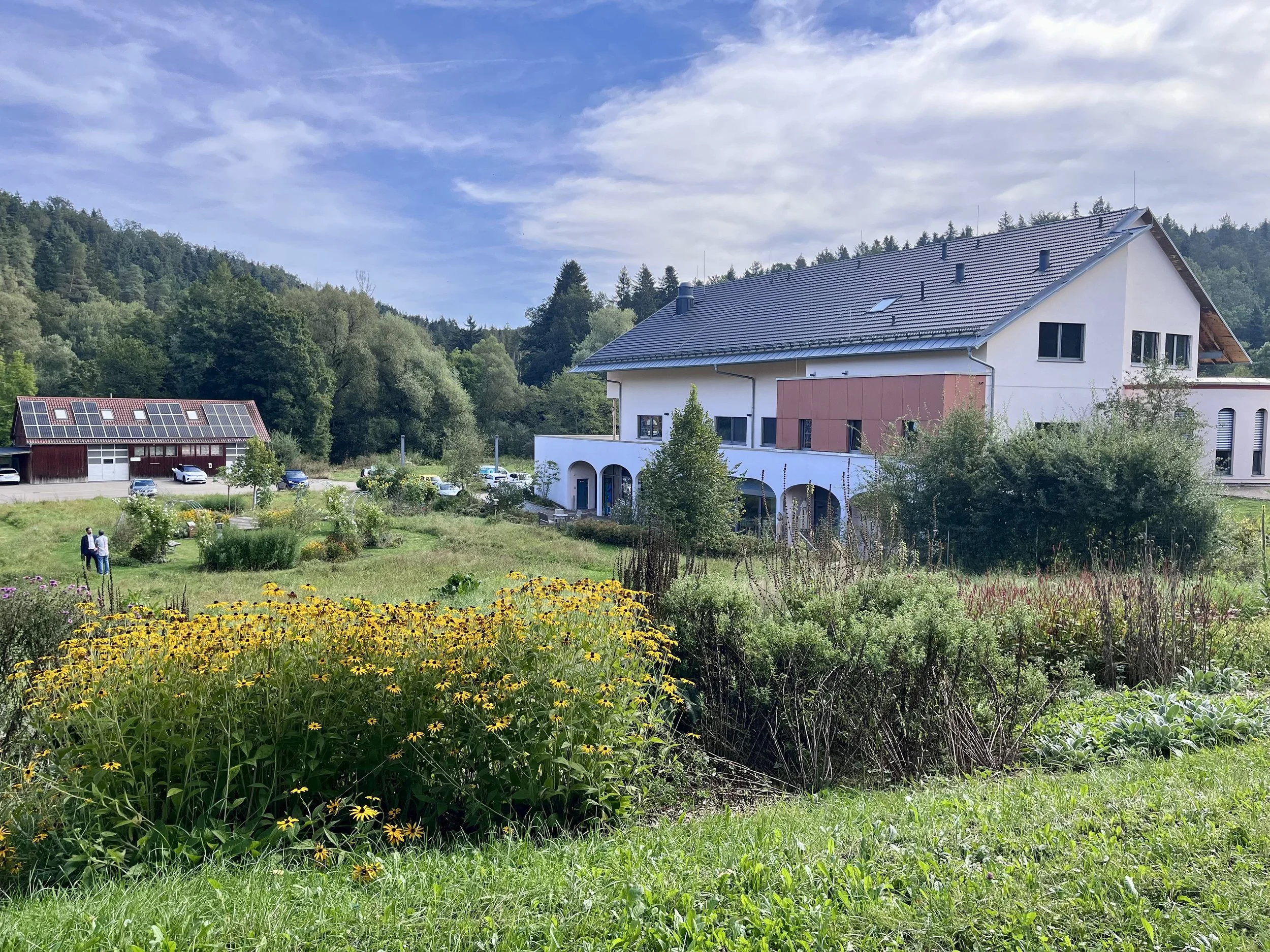 WALA (photocredit a jacobs).JPG