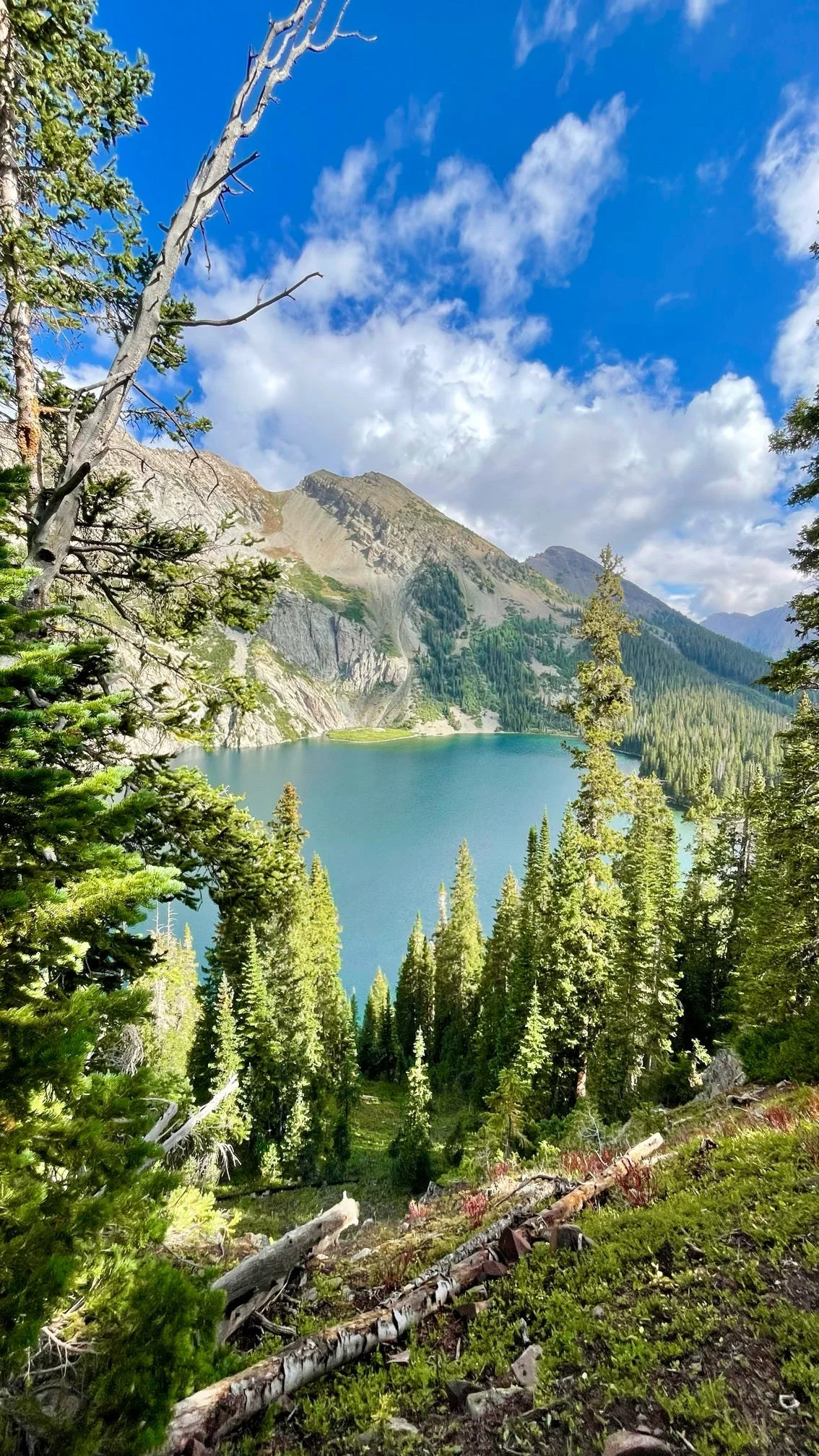 A scenic mountain landscape featuring a lake surrounded by tall pine trees, rugged mountain slopes, and a partly cloudy blue sky.