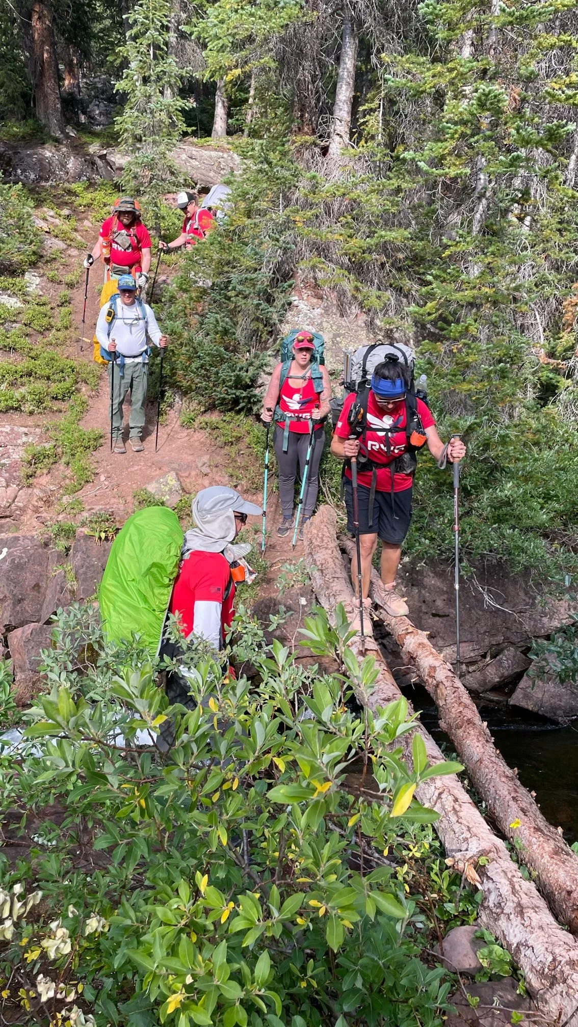 A group of six hikers trekking along a narrow mountain trail surrounded by trees and greenery, with a fallen log crossing a small stream in the foreground.