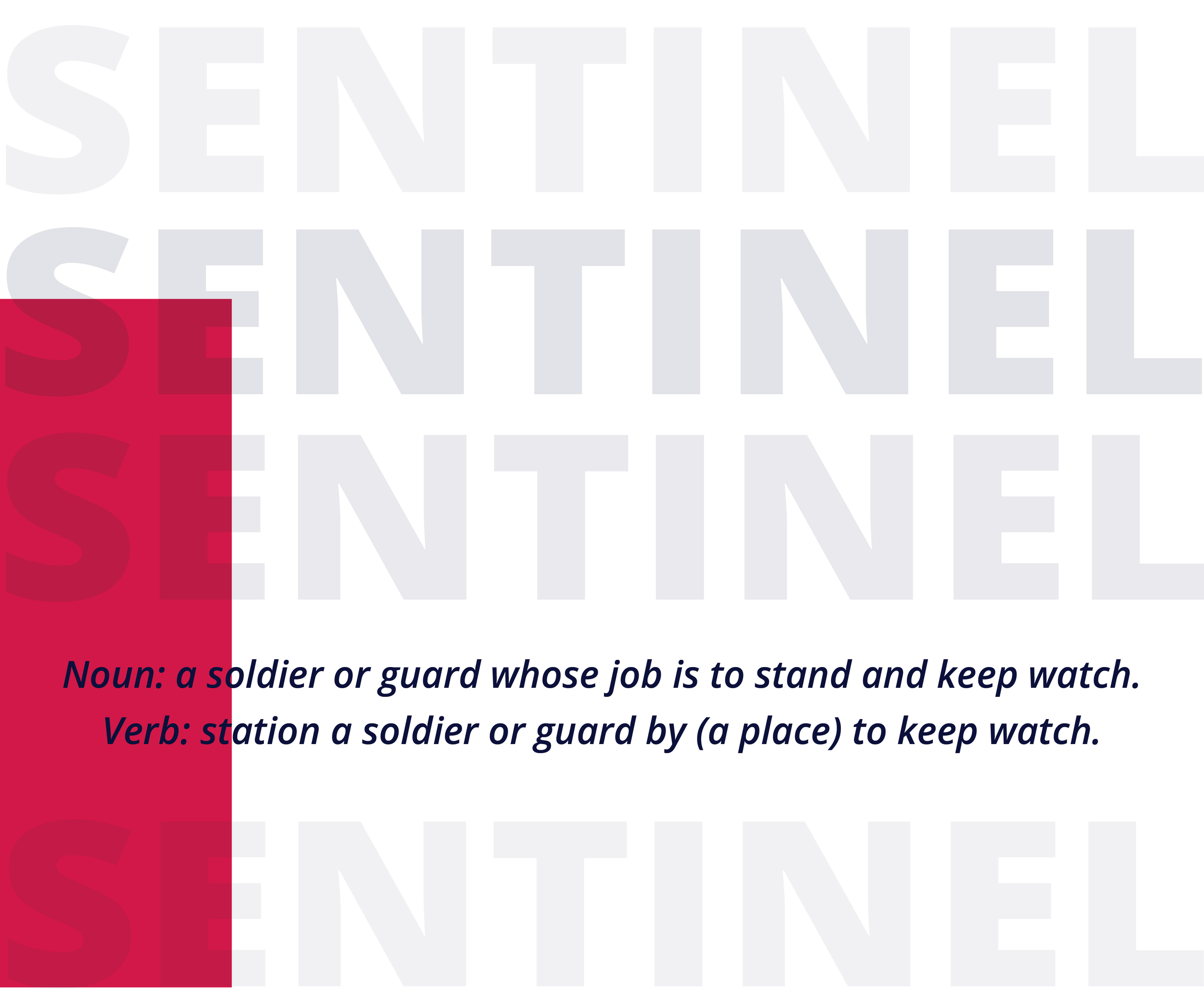 Team RWB Sentinel — Team Red, White & Blue