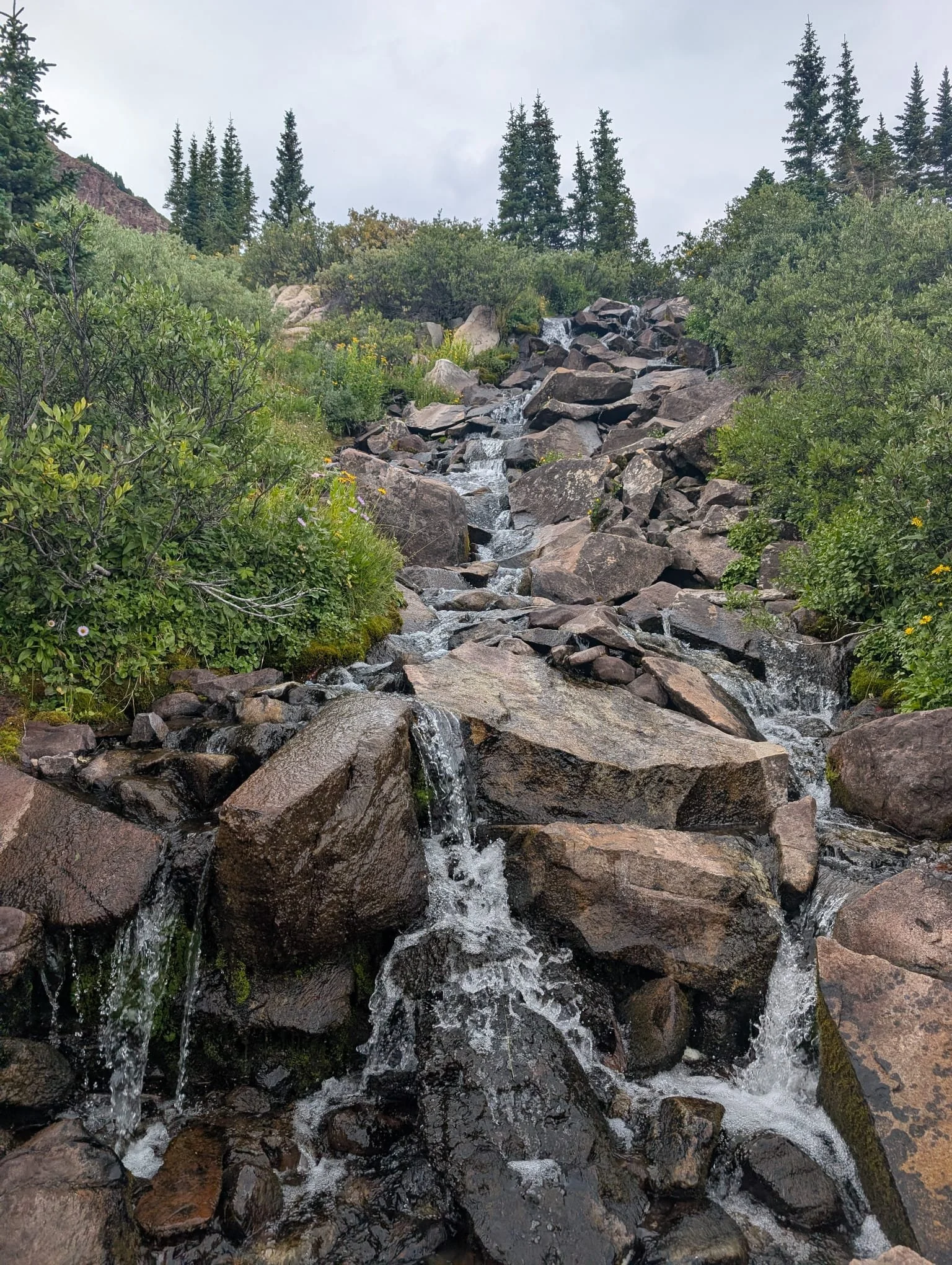 A small mountain stream flowing over rocks surrounded by green shrubs and trees, with taller pine trees in the background under a cloudy sky.