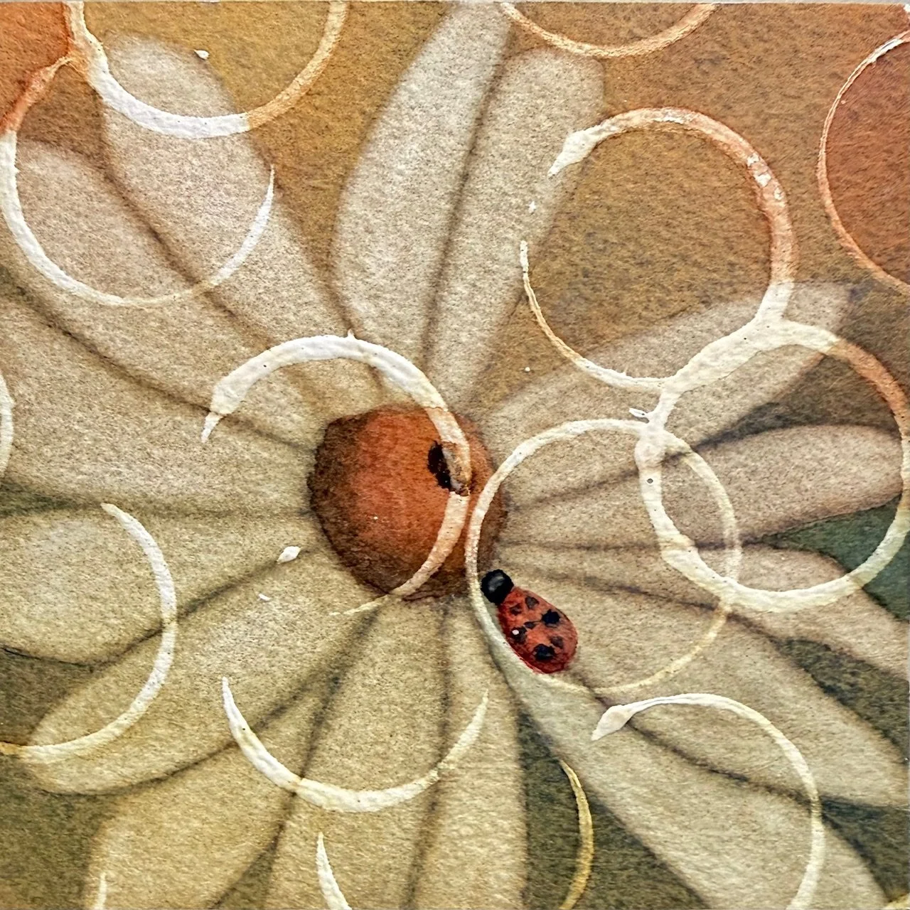 Daisy, Watercolor, 4" x 4"- Paper on Wood panel