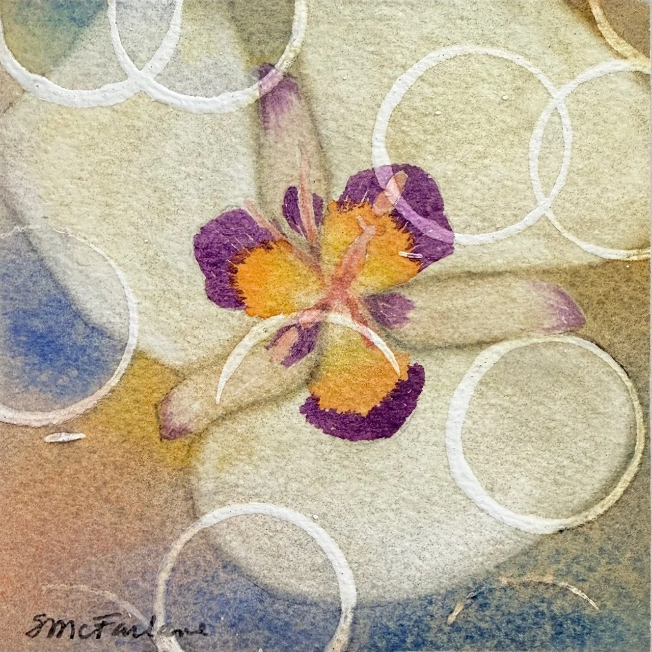 Sego Lily, Watercolor, 4" x 4"- Paper on Wood panel