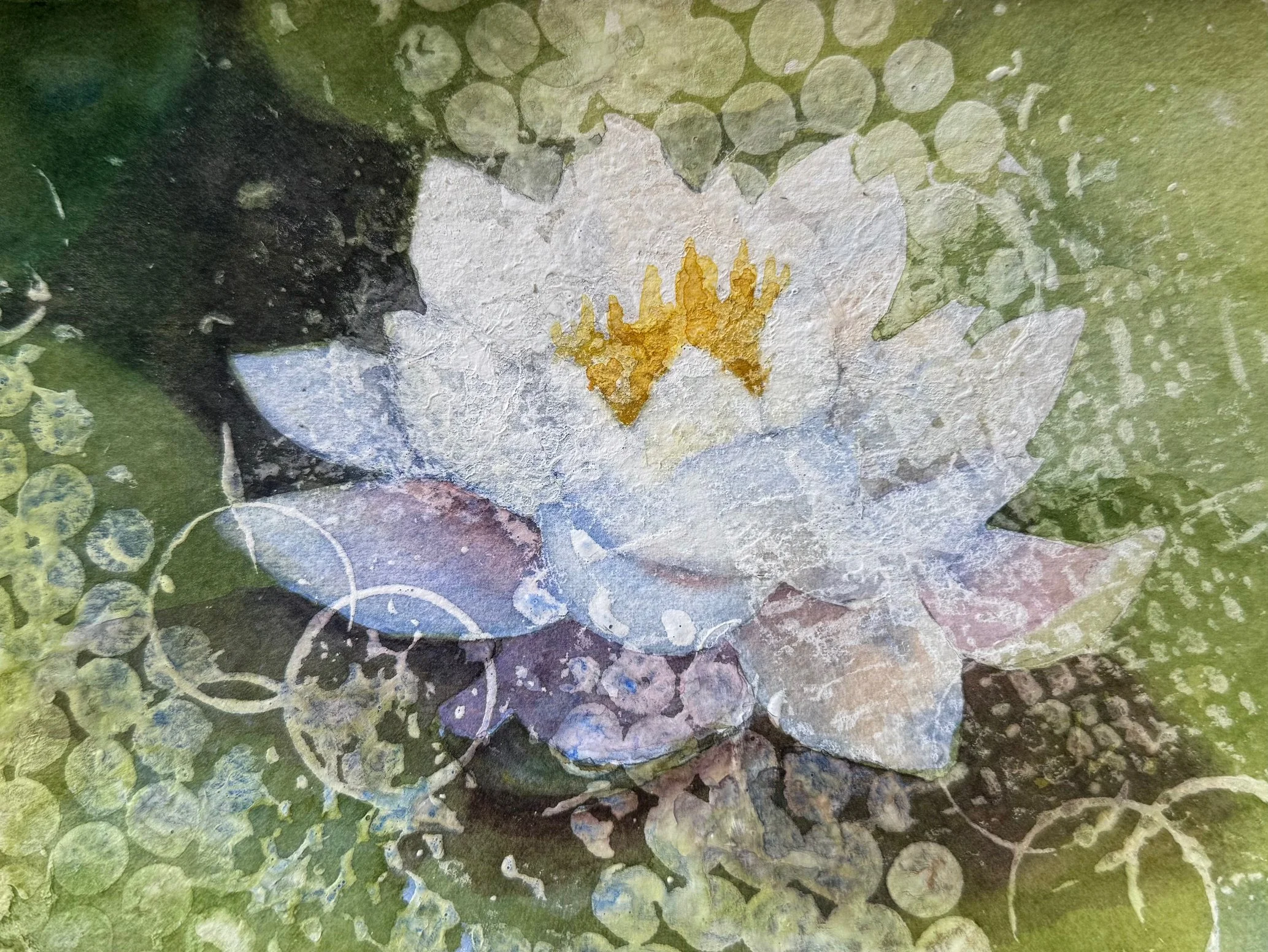 Little Lotus, Watercolor, 7" x 5" SOLD