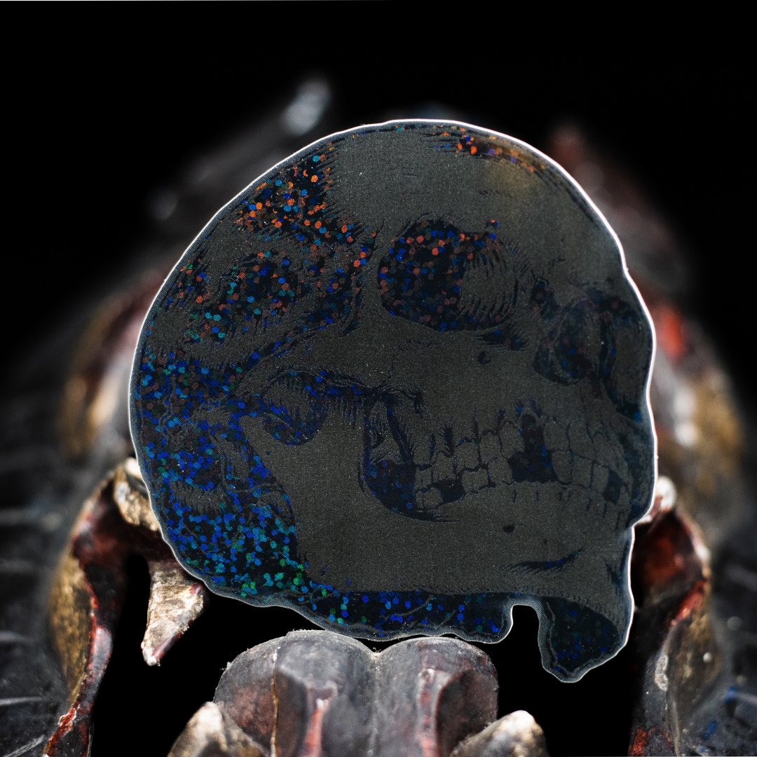 blk_glitte_skull_sticker_v2.jpeg