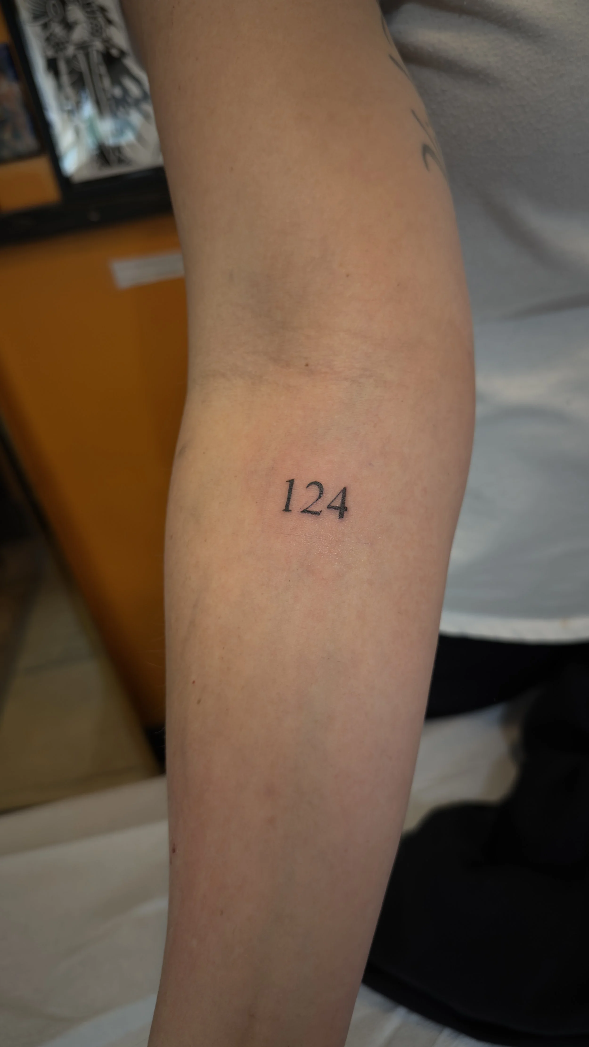 IMG_5281.jpeg