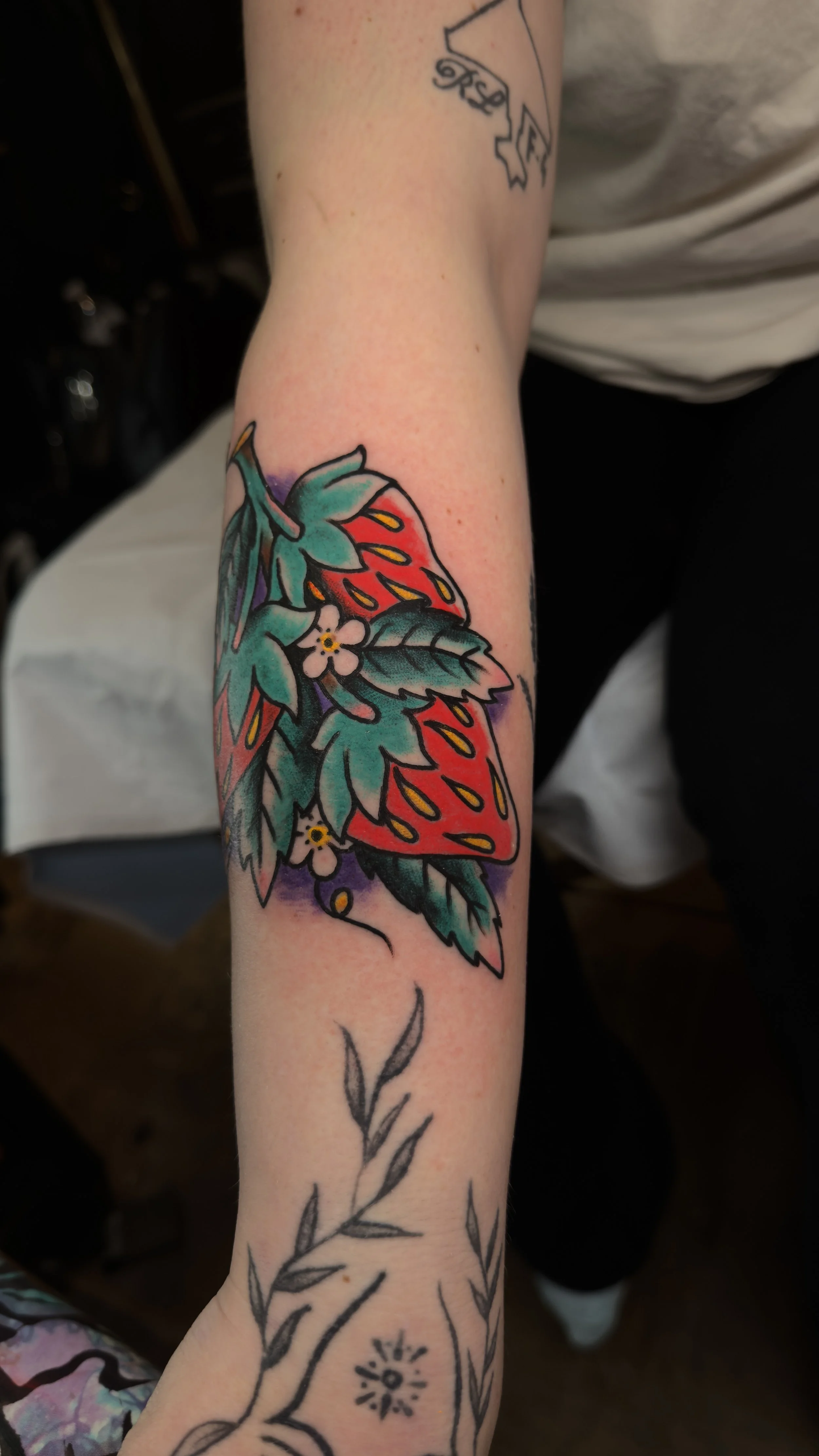 IMG_5223.jpeg