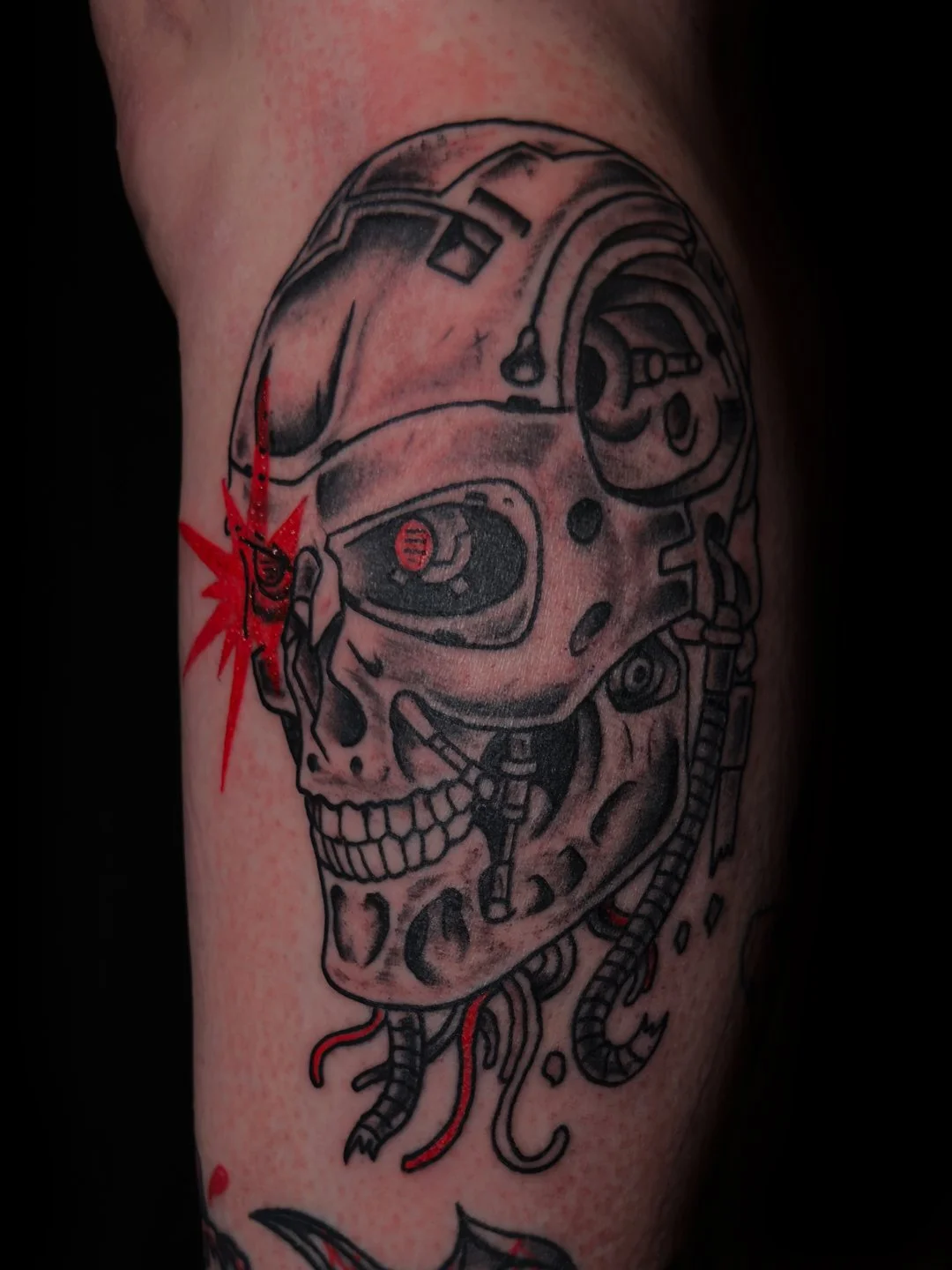 terminator skull instagram post.jpg