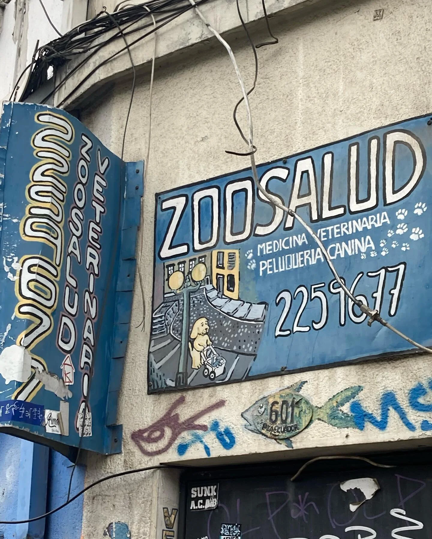 Un recorrido por los r&oacute;tulos y gr&aacute;ficas con animales de pir&aacute;mide. Mi favorita es el perro y gato camino al veterinario! 

#typography&nbsp;#handmade&nbsp;#sign&nbsp;#typovalpo&nbsp;#type&nbsp;#identity&nbsp;#valparaiso&nbsp;#grap