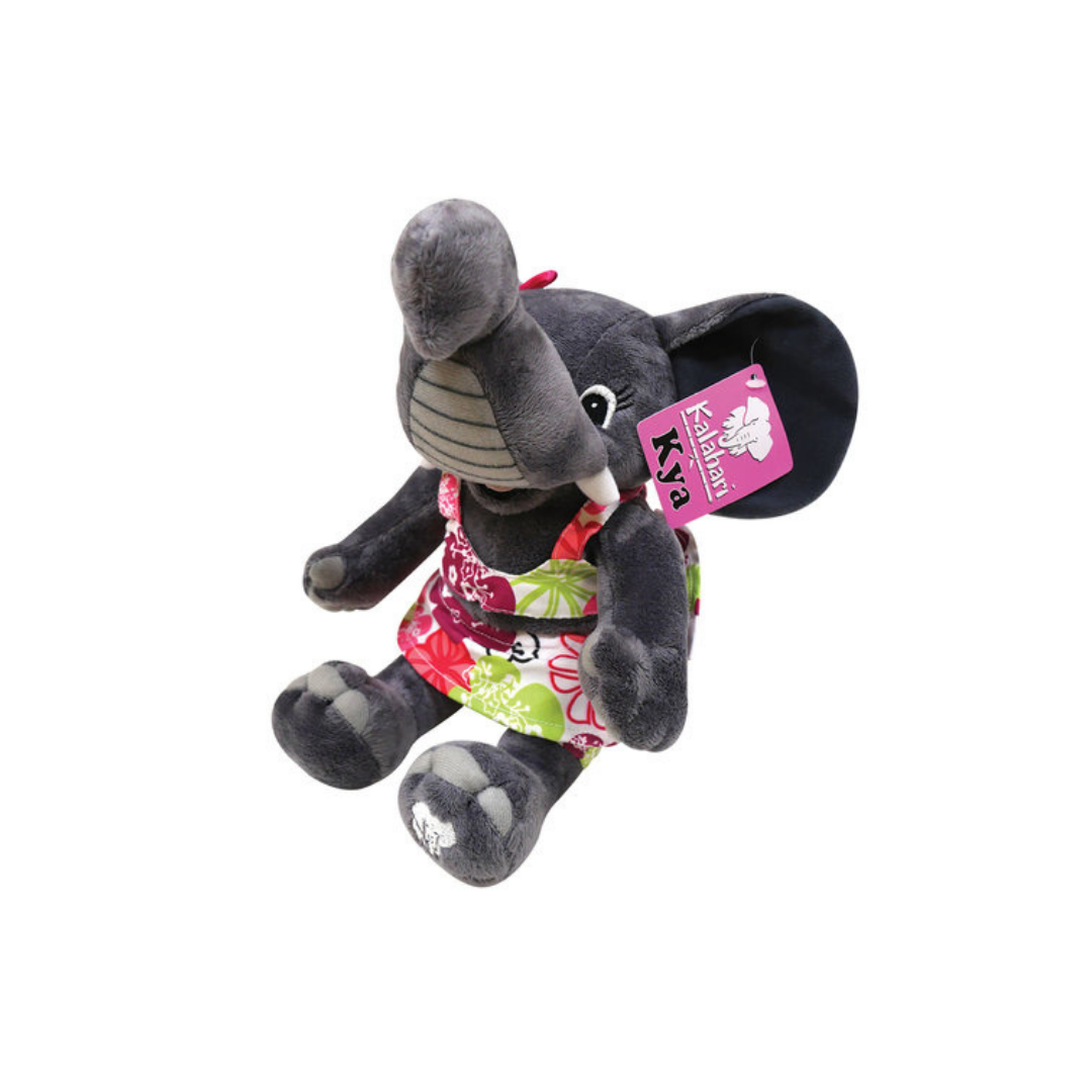 AddOns — Shop Kalahari Gift Cards — Give the Gift of Memories