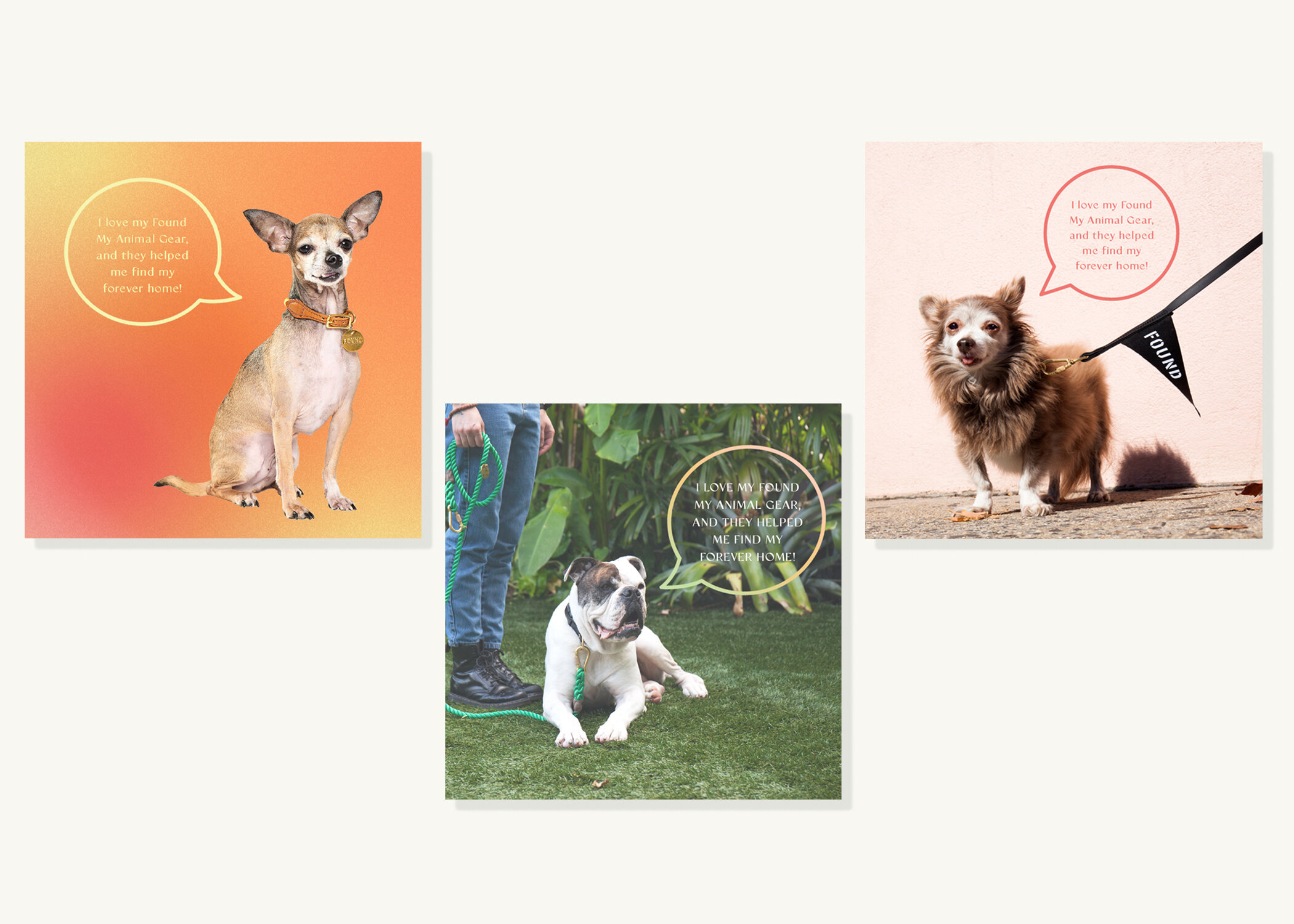 found_my_animal_portfolio_004.jpg