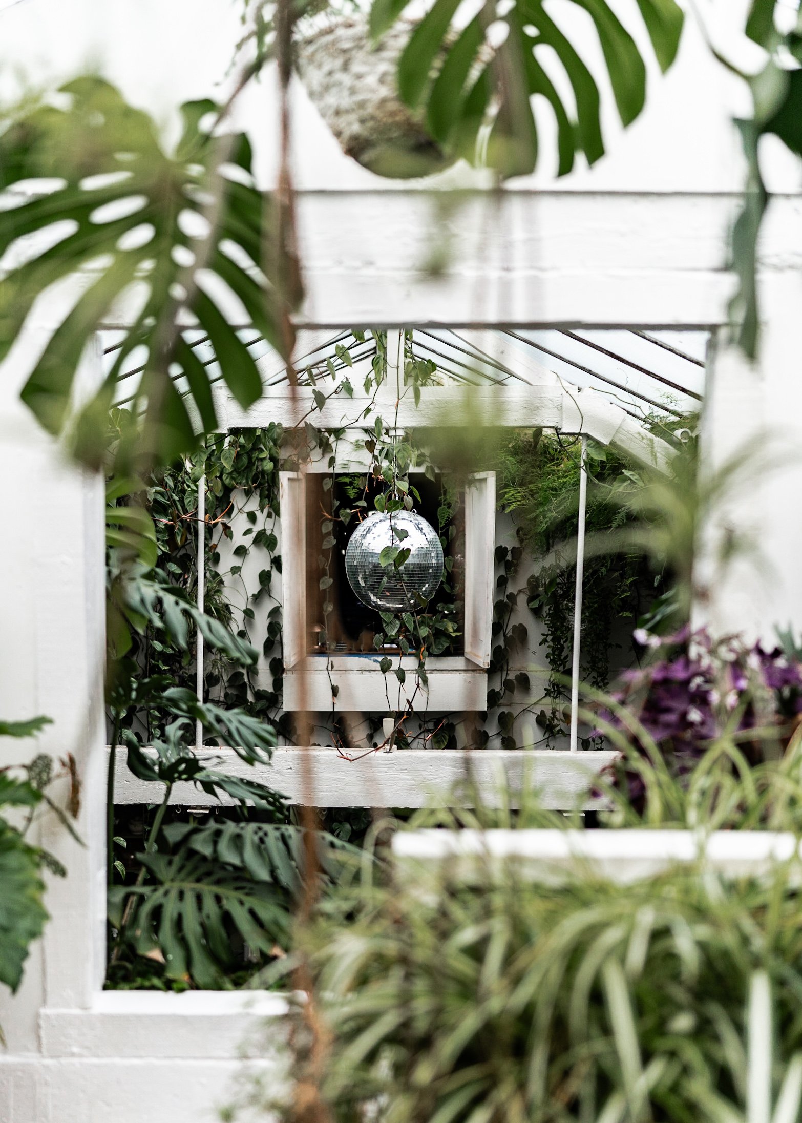A white garden structure with an opening in the middle, surrounded by green leafy plants, with a small mirrorball hanging inside the opening.