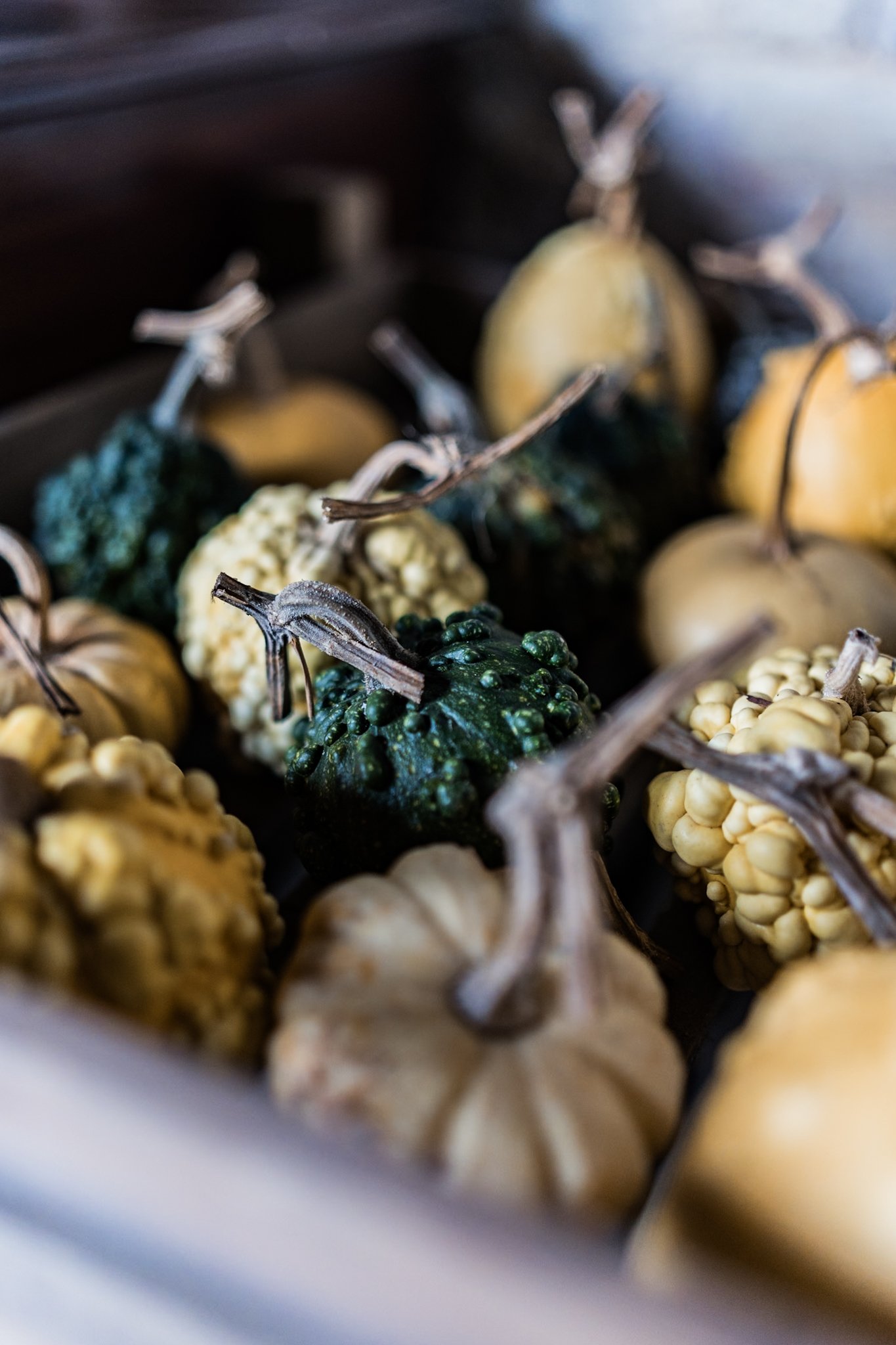 Collection of small decorative gourds in various colors and textures.