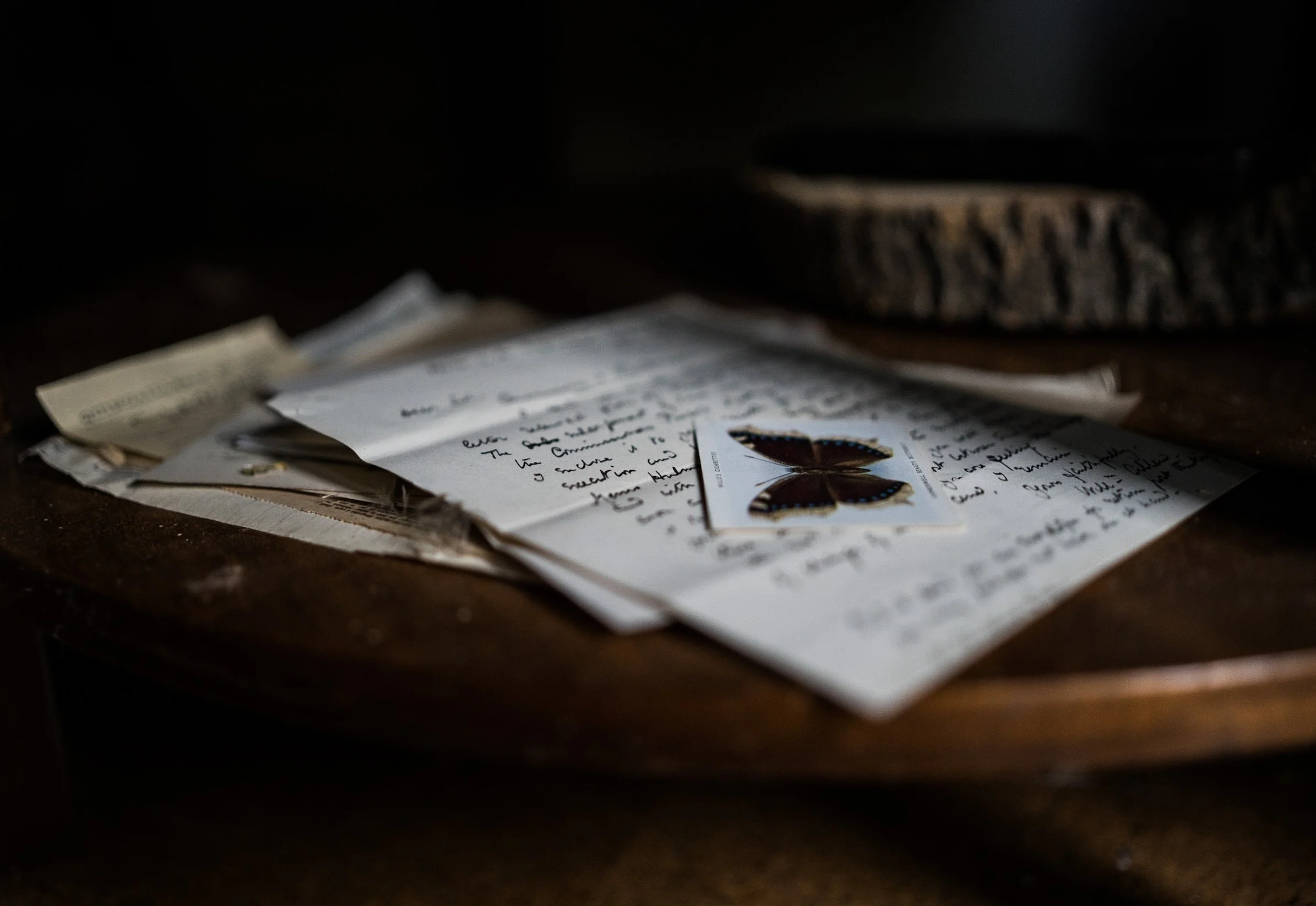 A butterfly specimen on top of handwritten notes and papers on a wooden surface.