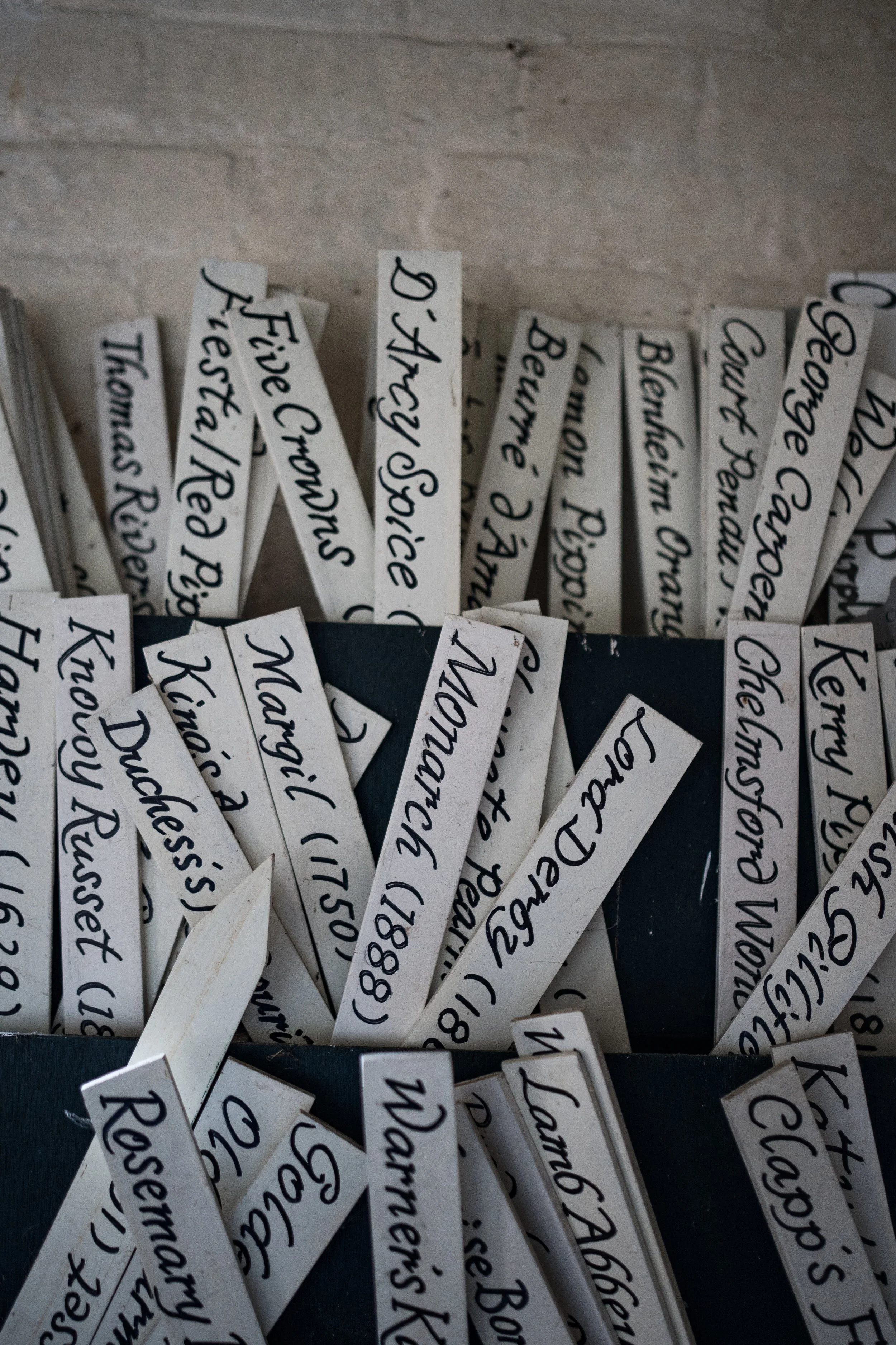 Multiple white wooden tags with handwritten black cursive names and phone numbers, displayed in a container against a light gray brick wall.