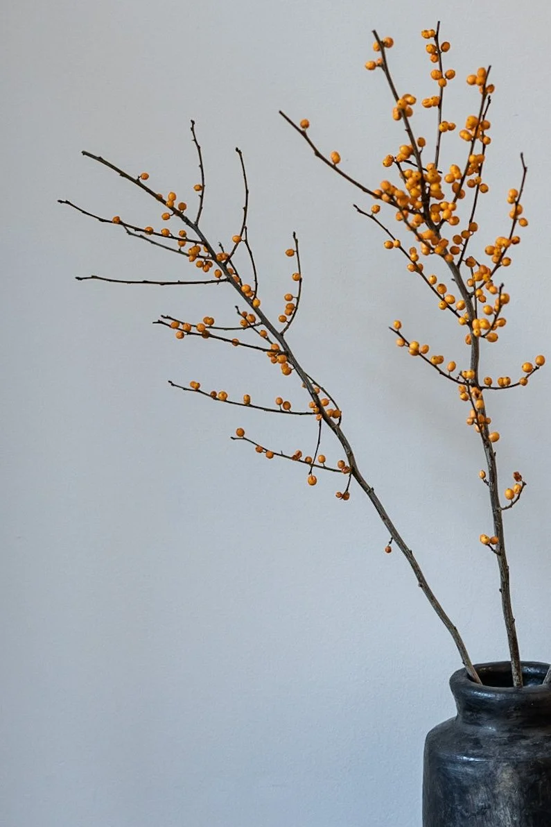 A branch with orange berries in a black vase against a plain gray background.