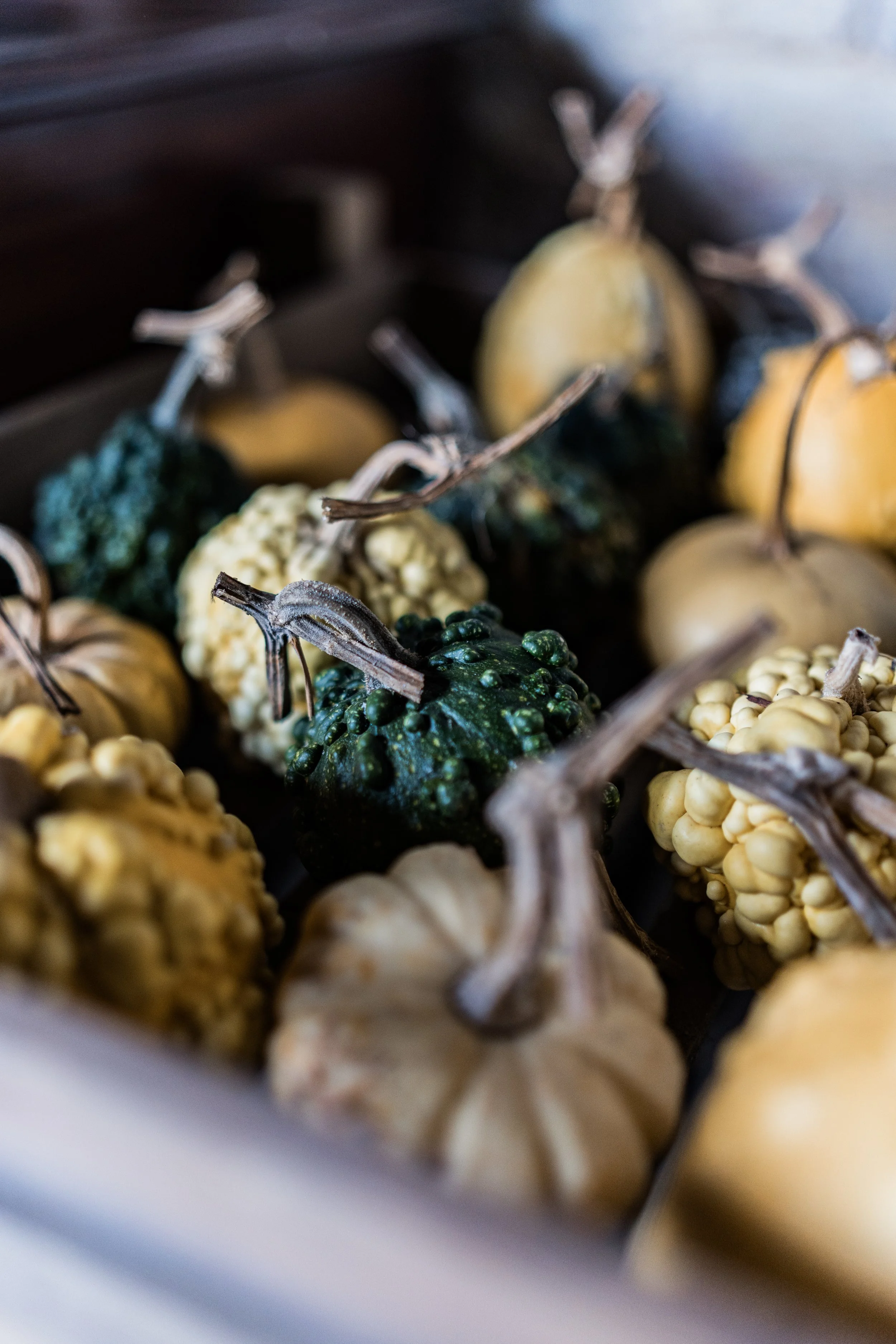 Assorted gourds, including white, yellow, and green varieties, with different shapes and bumpy textures.