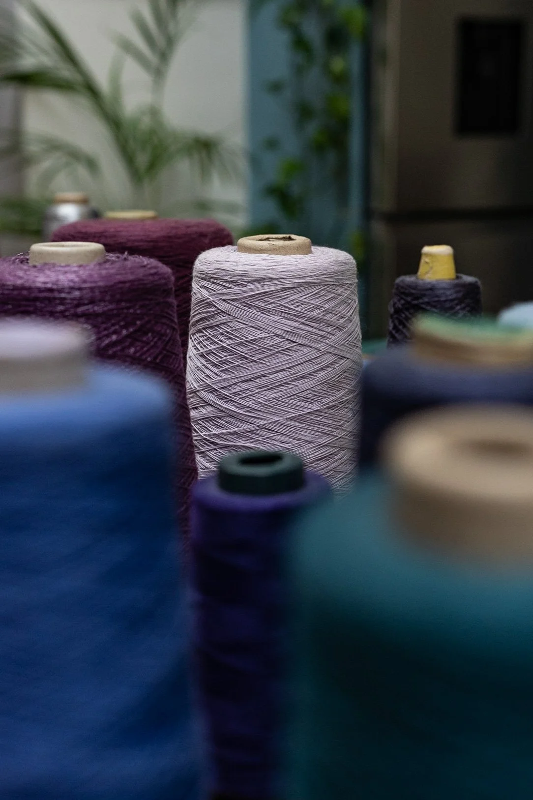 Spools of thread in various colors arranged on a flat surface with a plant and a wall in the background.