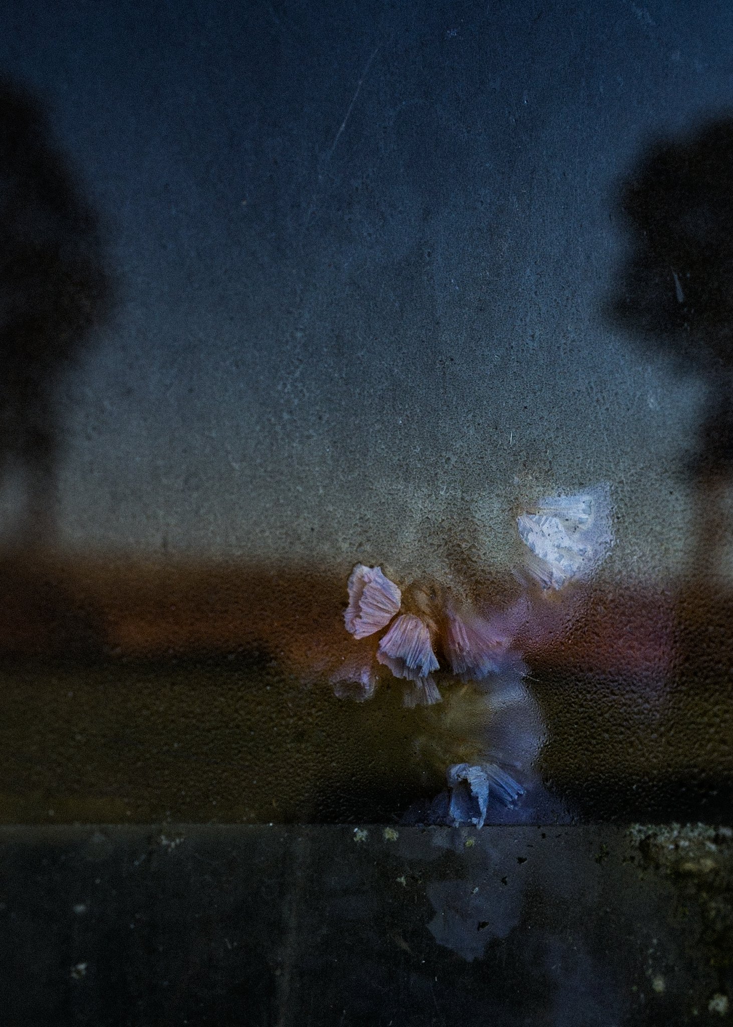 Frosted glass with a reflection of flowers and a person, blurry background under low light conditions.