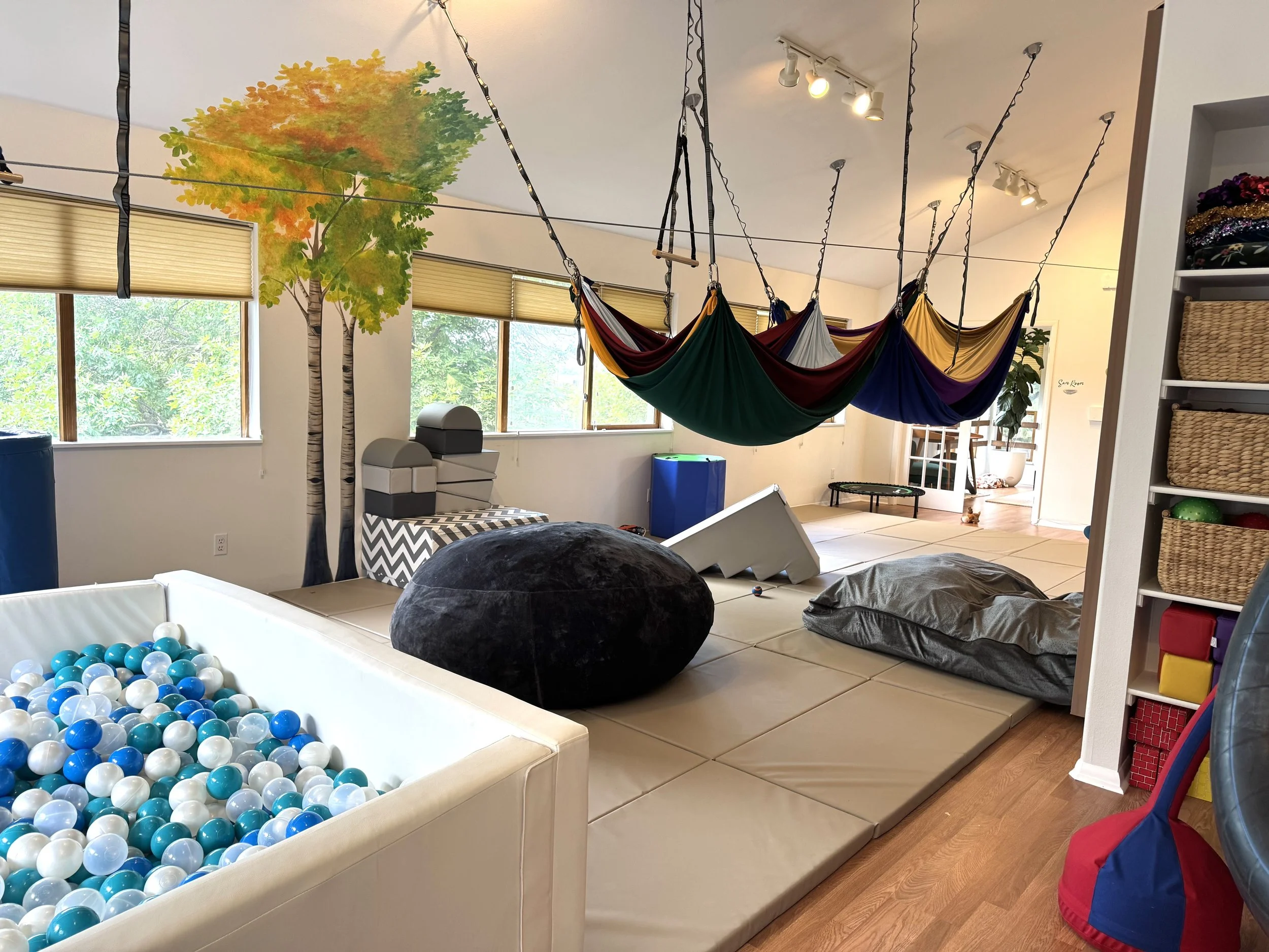 Speech therapy space with ball pit and swing