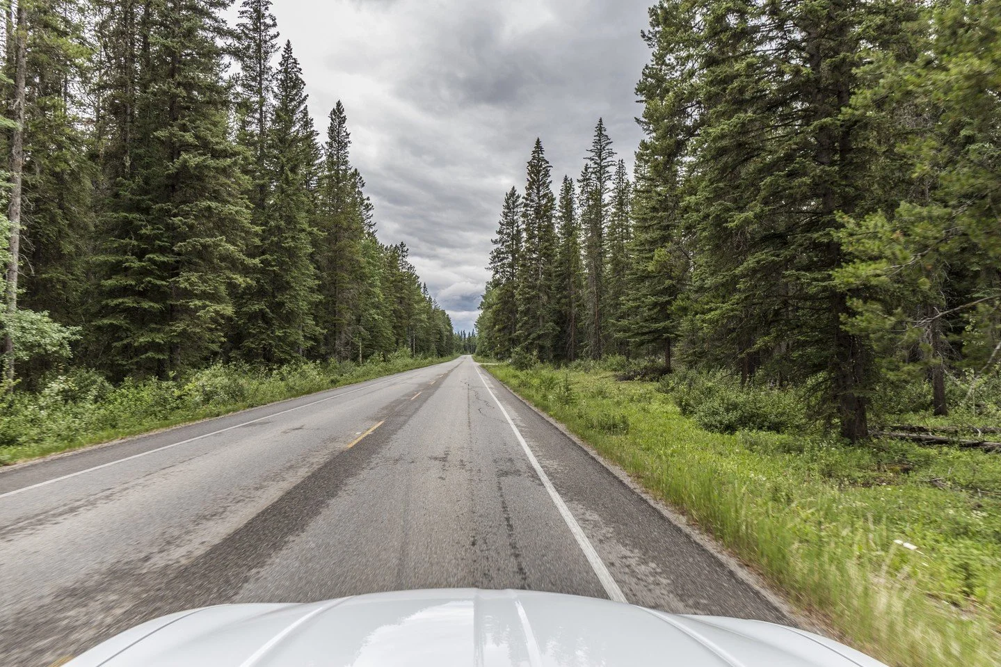 When leaving your house for the cottage, don't forget about taking preventative measures to avoid break-ins, damage, and other issues. This includes securing your home and making your property appear occupied to reduce the chance of theft. 
A few